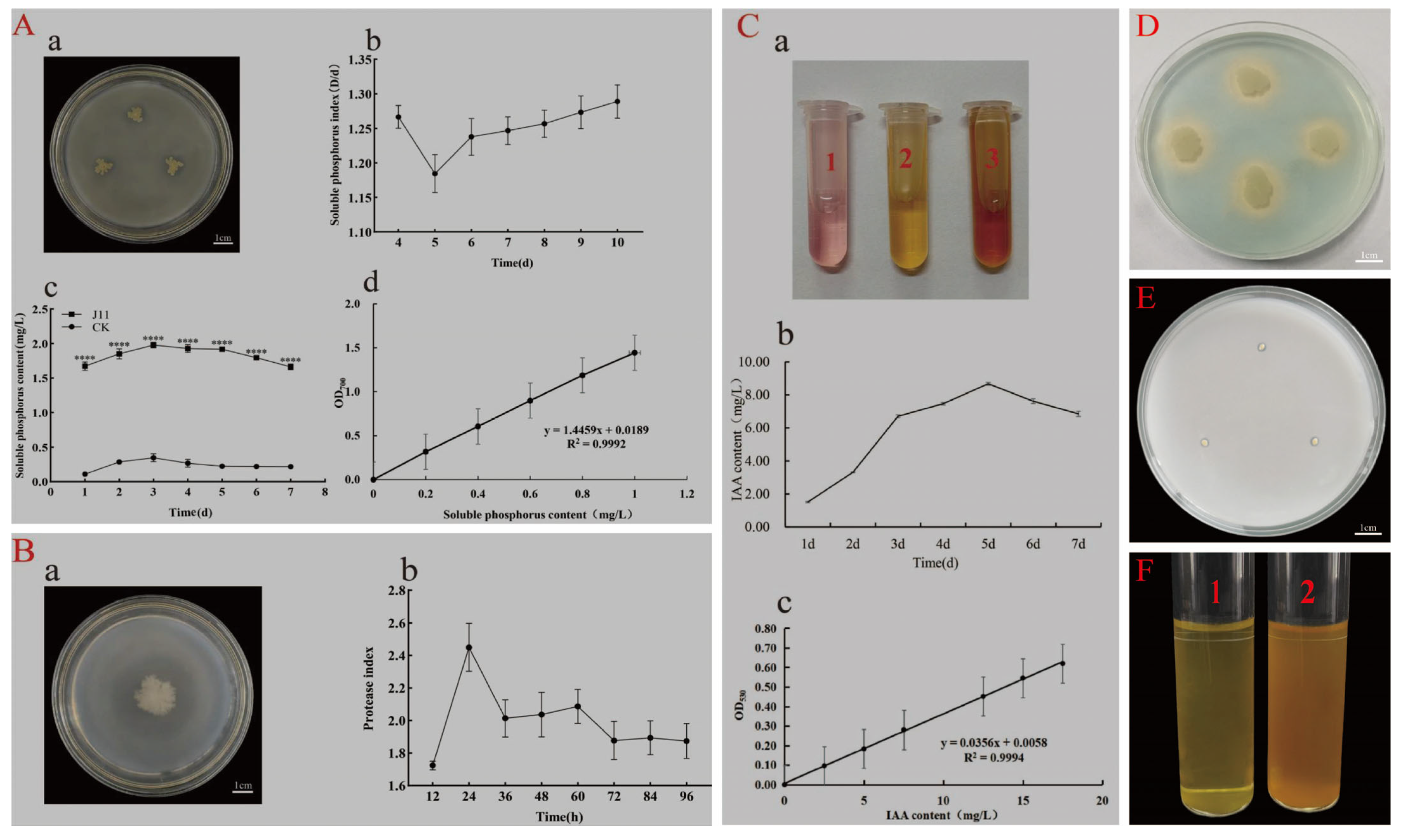 Dynamic Succession of Microbiota during Ensiling of Whole
