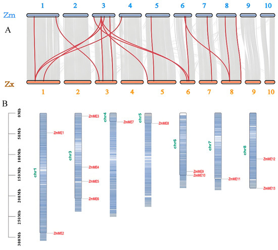 Identification and Abiotic Stress Expression Profiling of