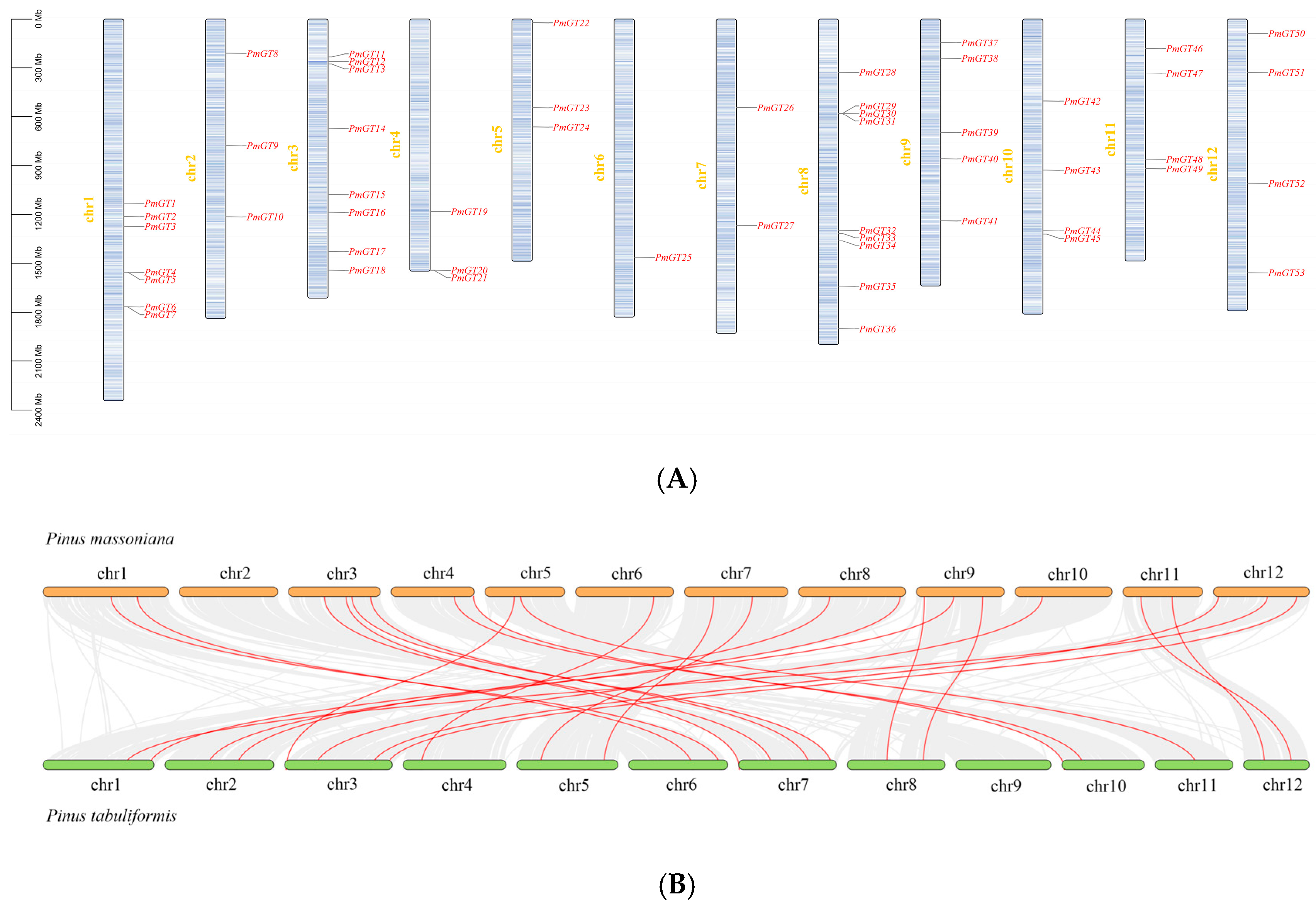 Genome-Wide Identification and Characterization of the Trihelix