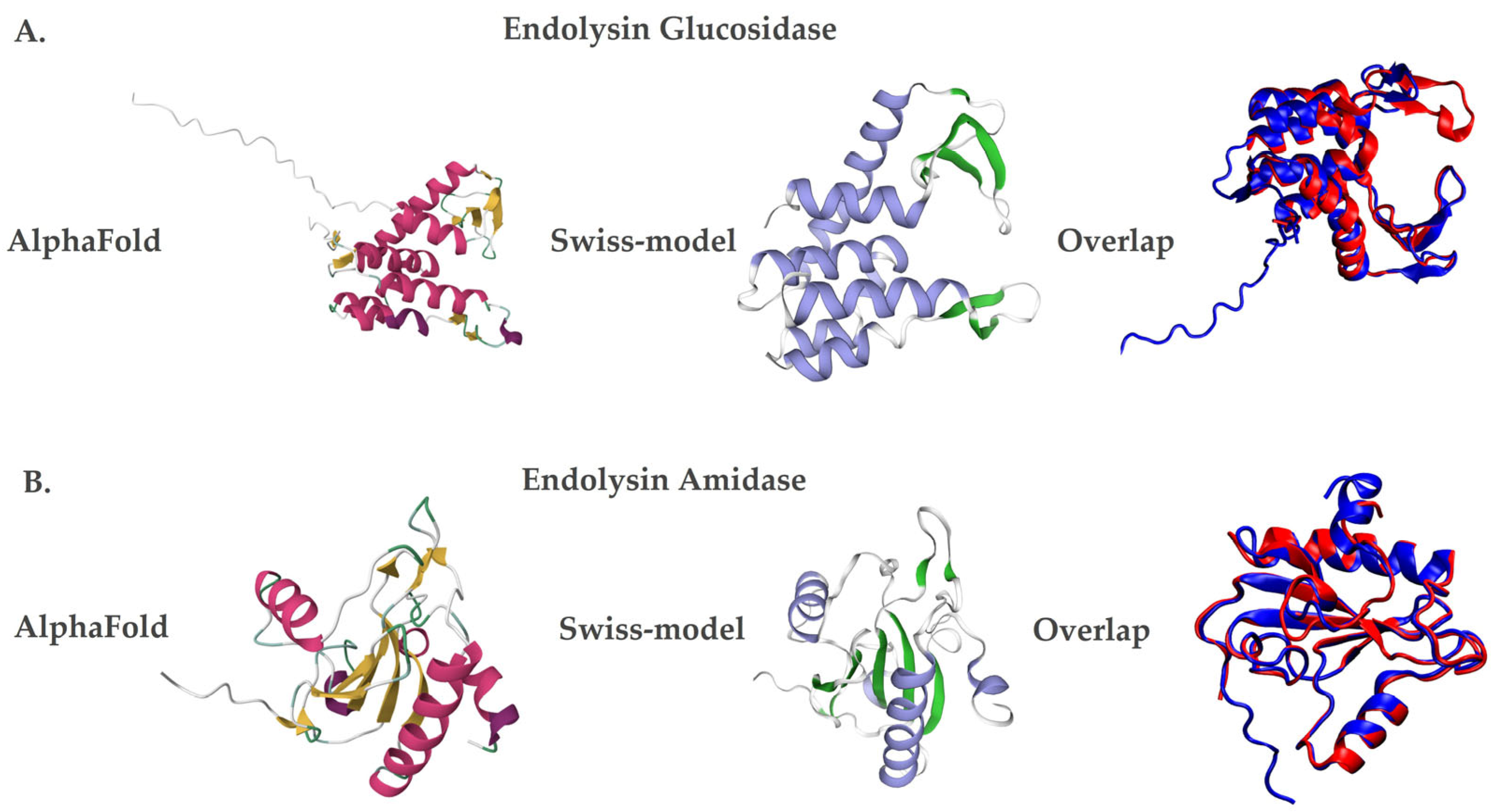 Antimicrobial Activity of LysX and LysP Endolysins Against Pseudomonas ...