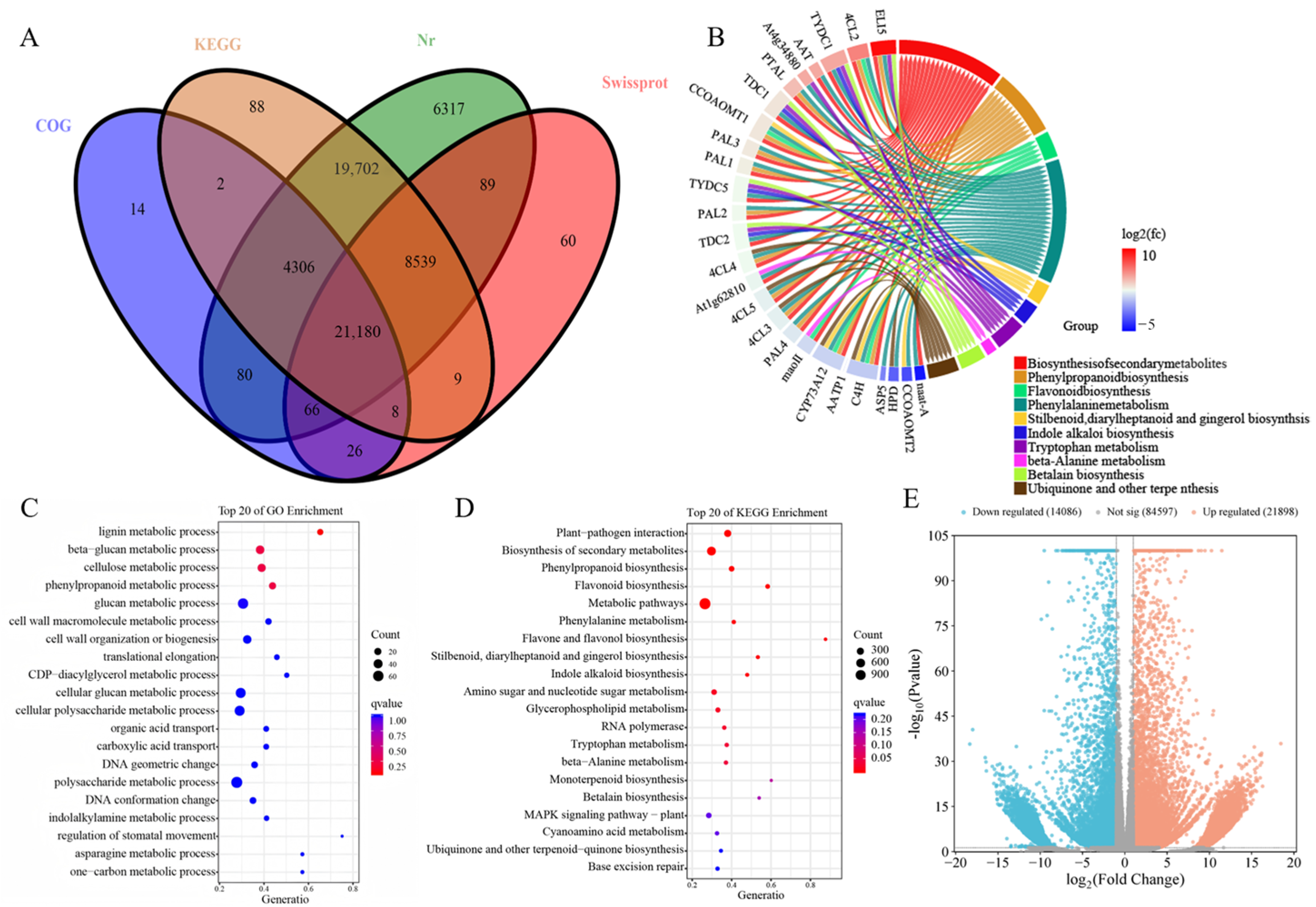 Integrated Metabolomics and Transcriptomics Reveal Bitter Compounds and ...
