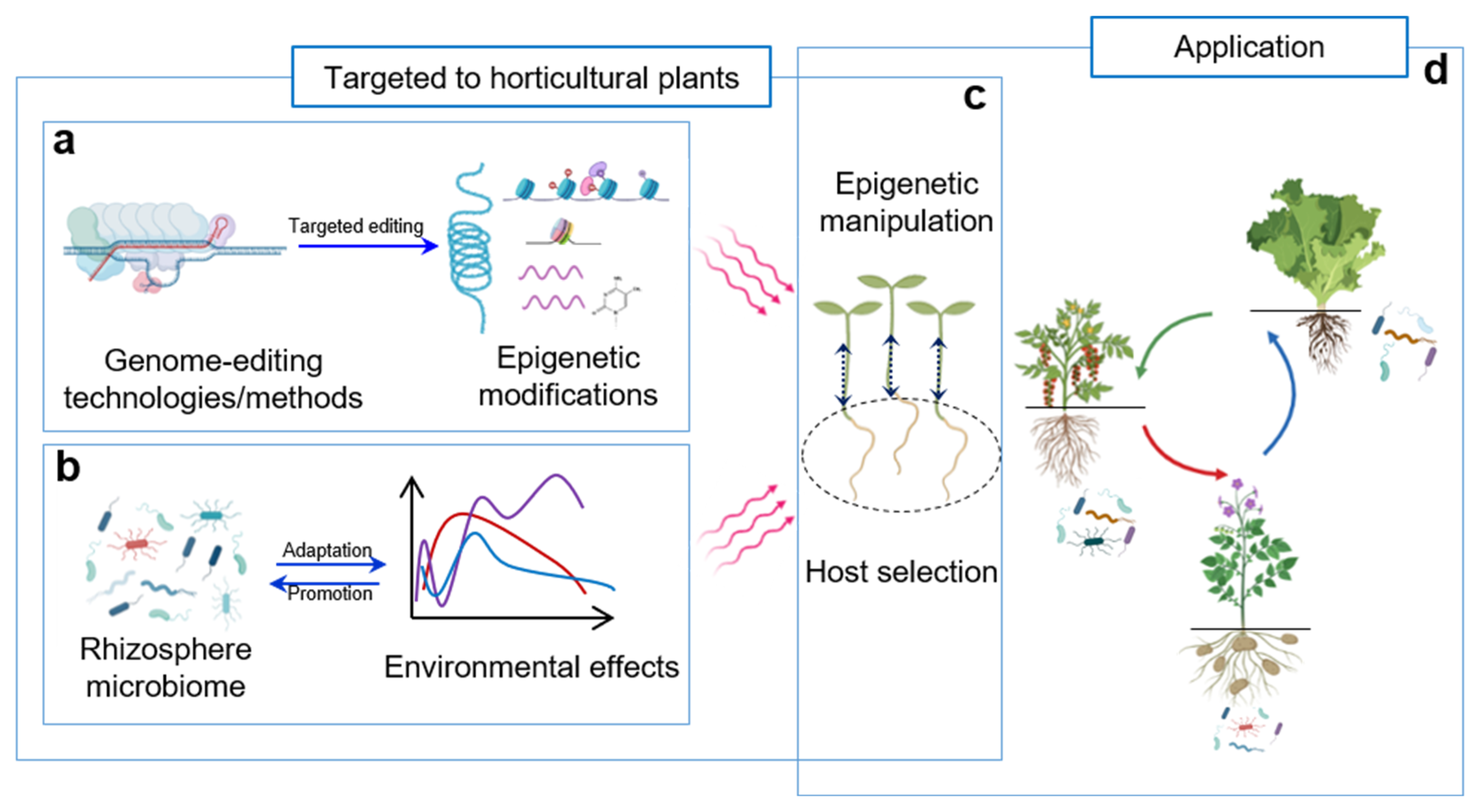 Epigenetic Regulation of Root-Associated Microbiota: Mechanisms and ...