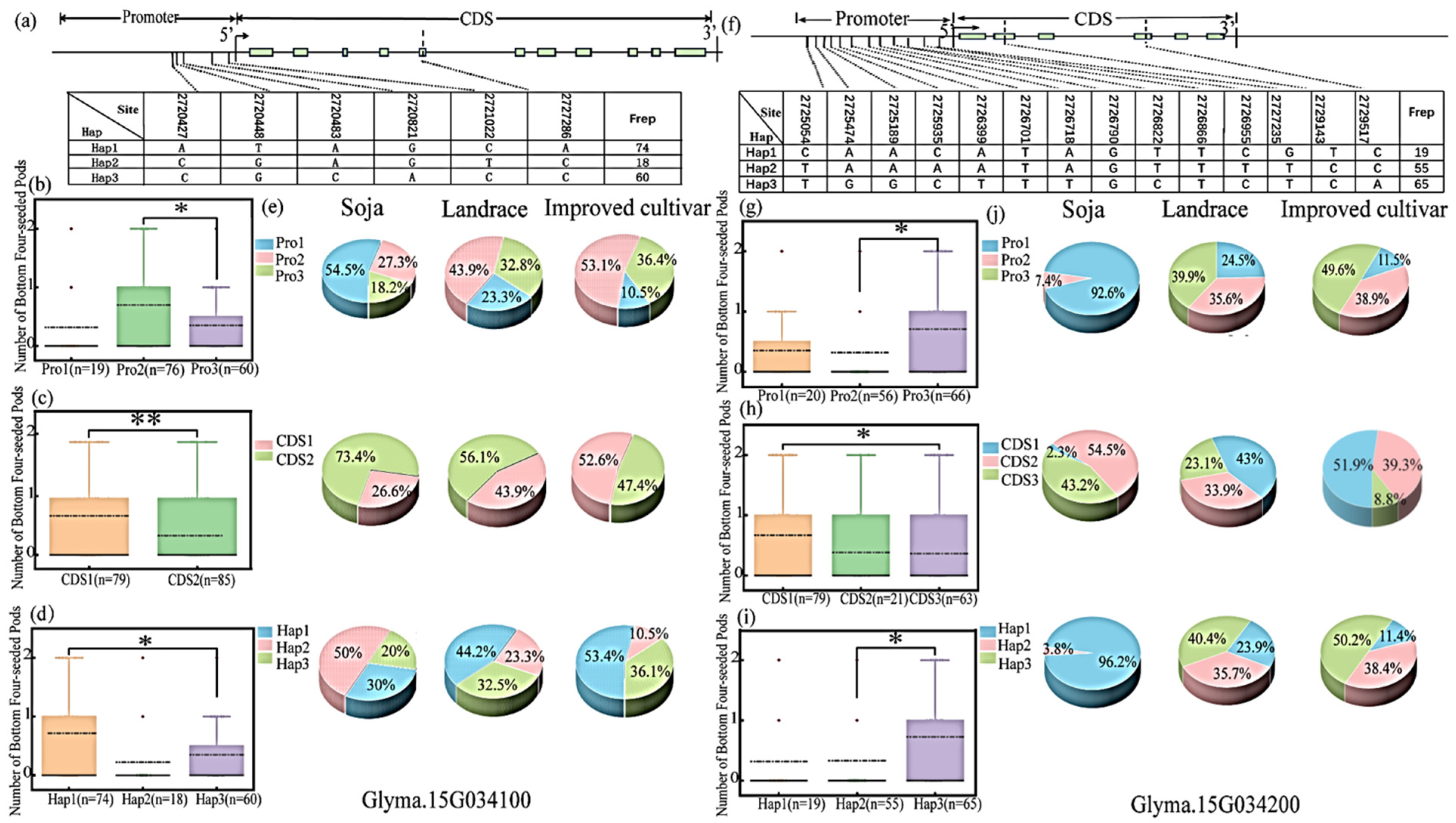 Genetic Basis Analysis for Candidate QTLs and Functional Genes ...