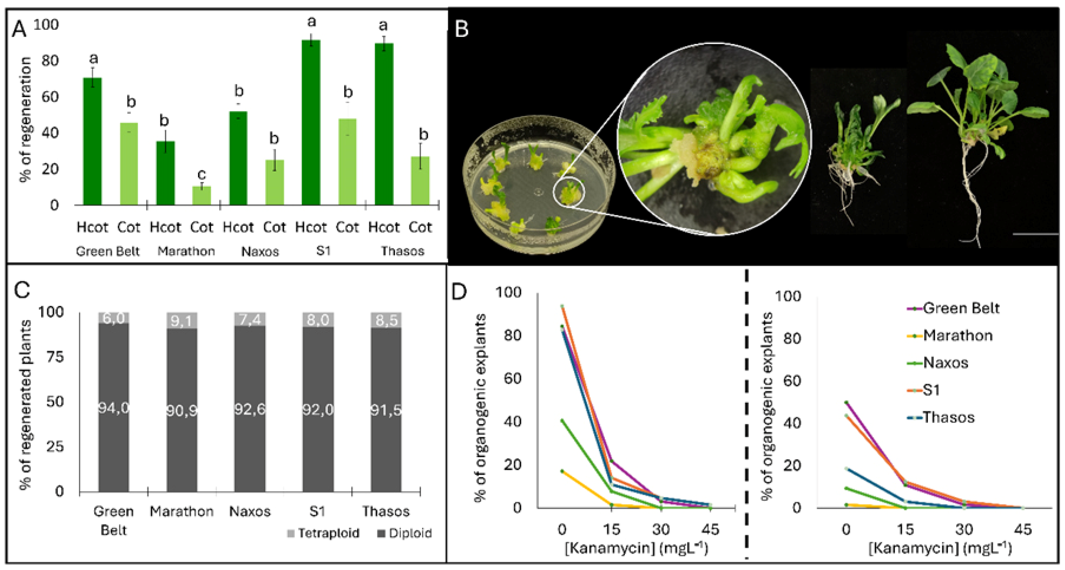 Two Optimized Methods for Efficient, Stable and Transient ...