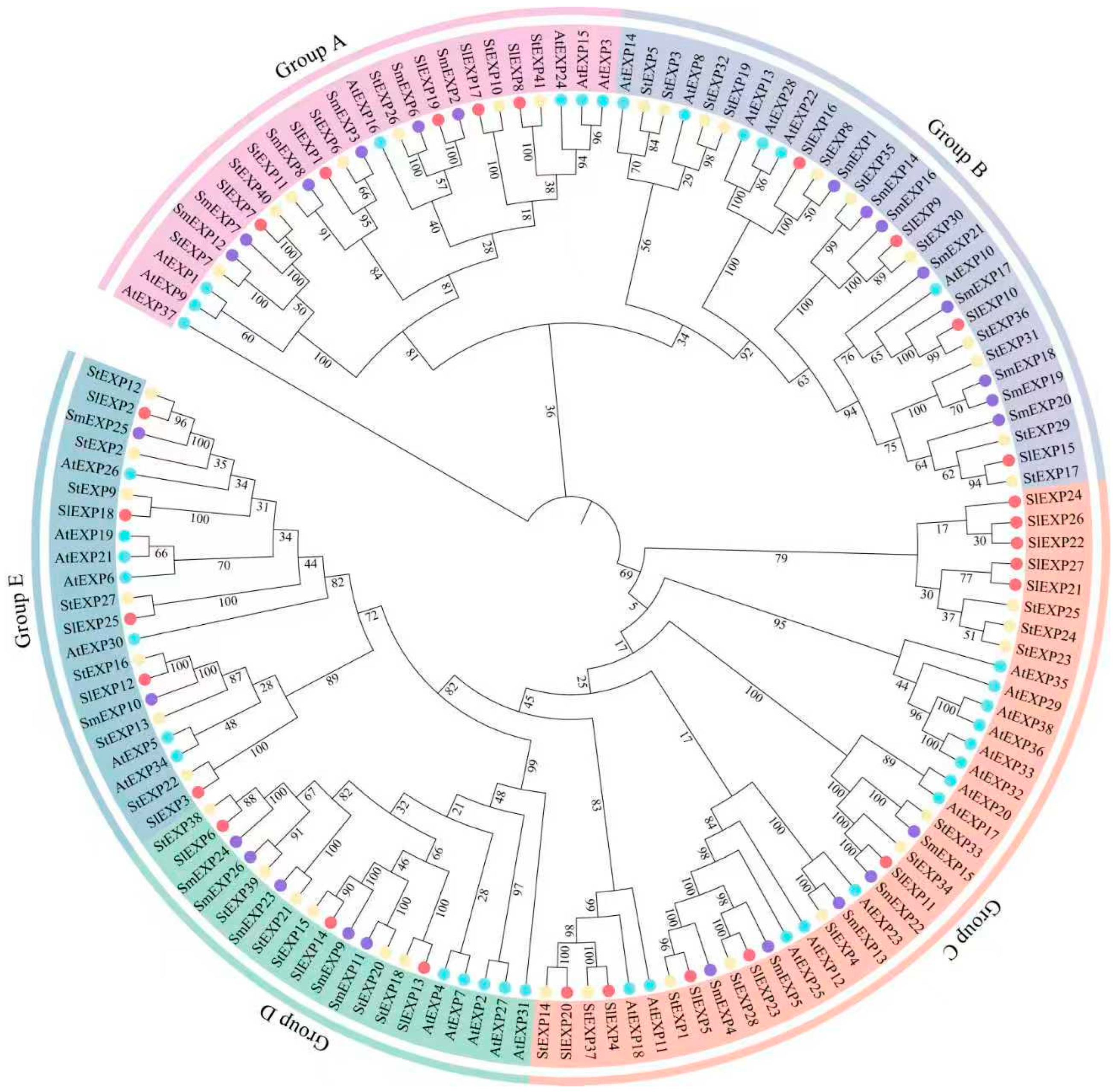 Genome-Wide Characterization of the Expansin Gene Family in Eggplant ...