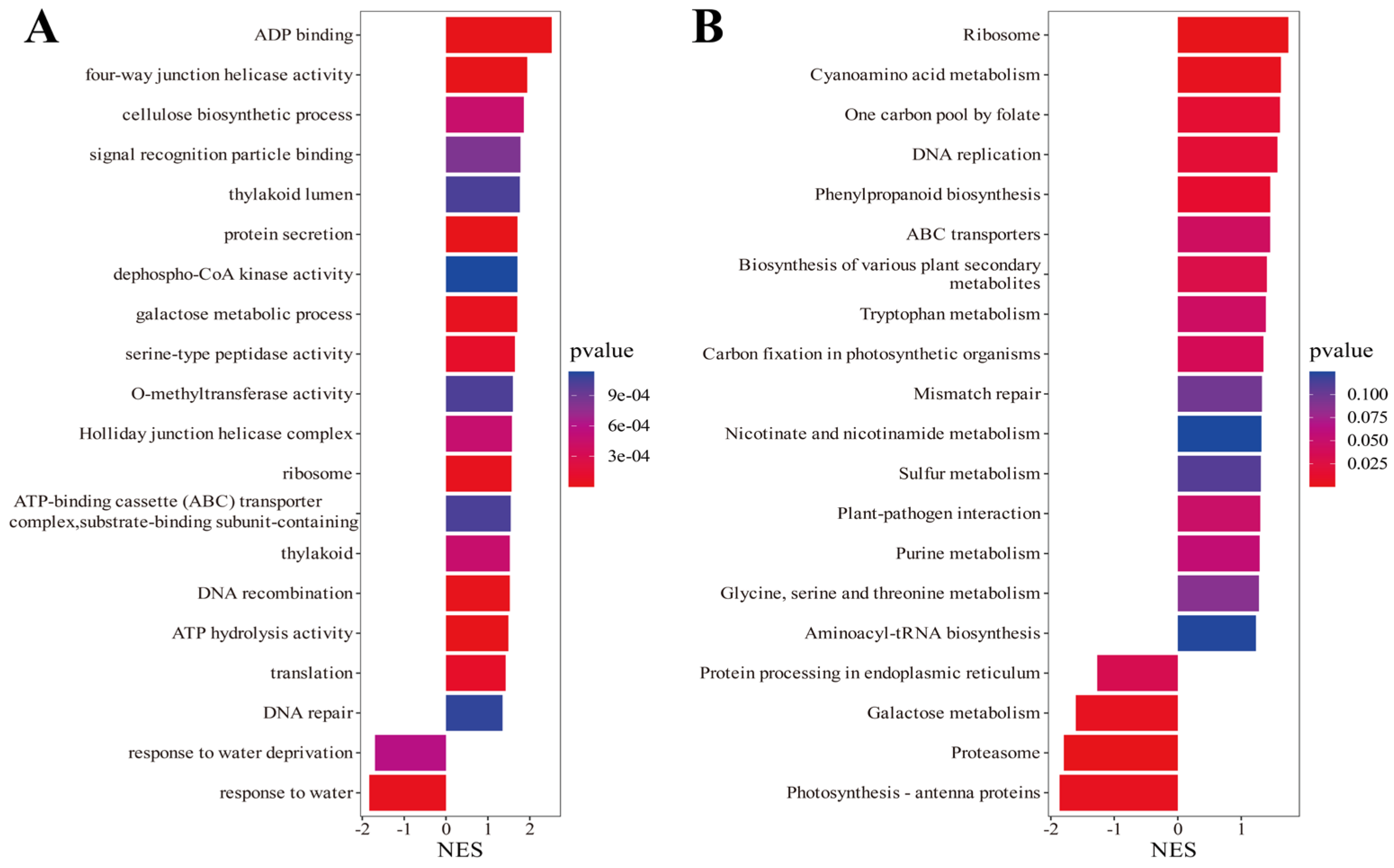 Cloning and Functional Analysis of the SiMAPKKK17 Gene in Foxtail ...