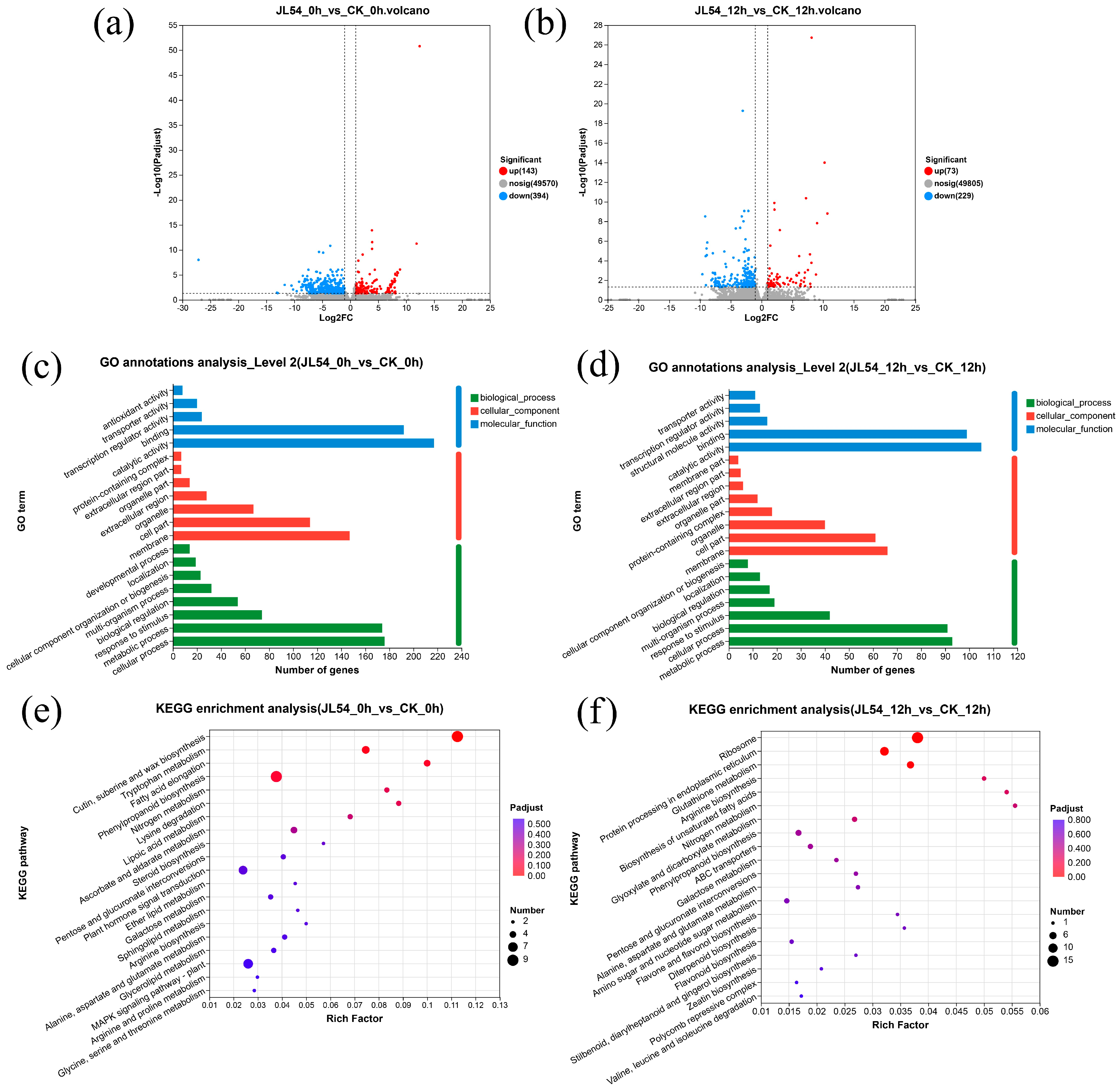 Integrative Transcriptomic and Biochemical Profiling Reveals Bacillus ...