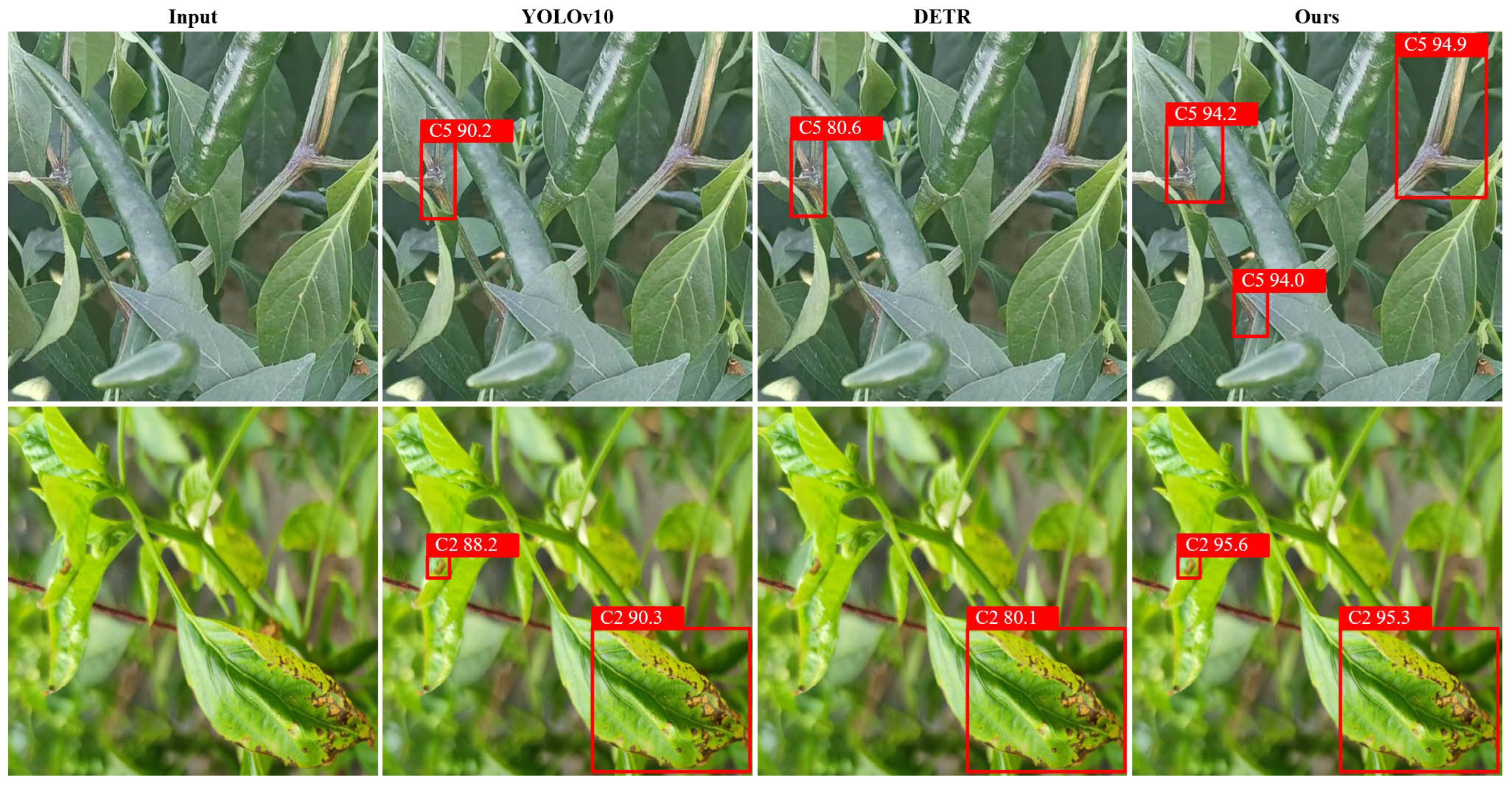 A Feature-Enhanced Network for Vegetable Disease Detection in Complex ...
