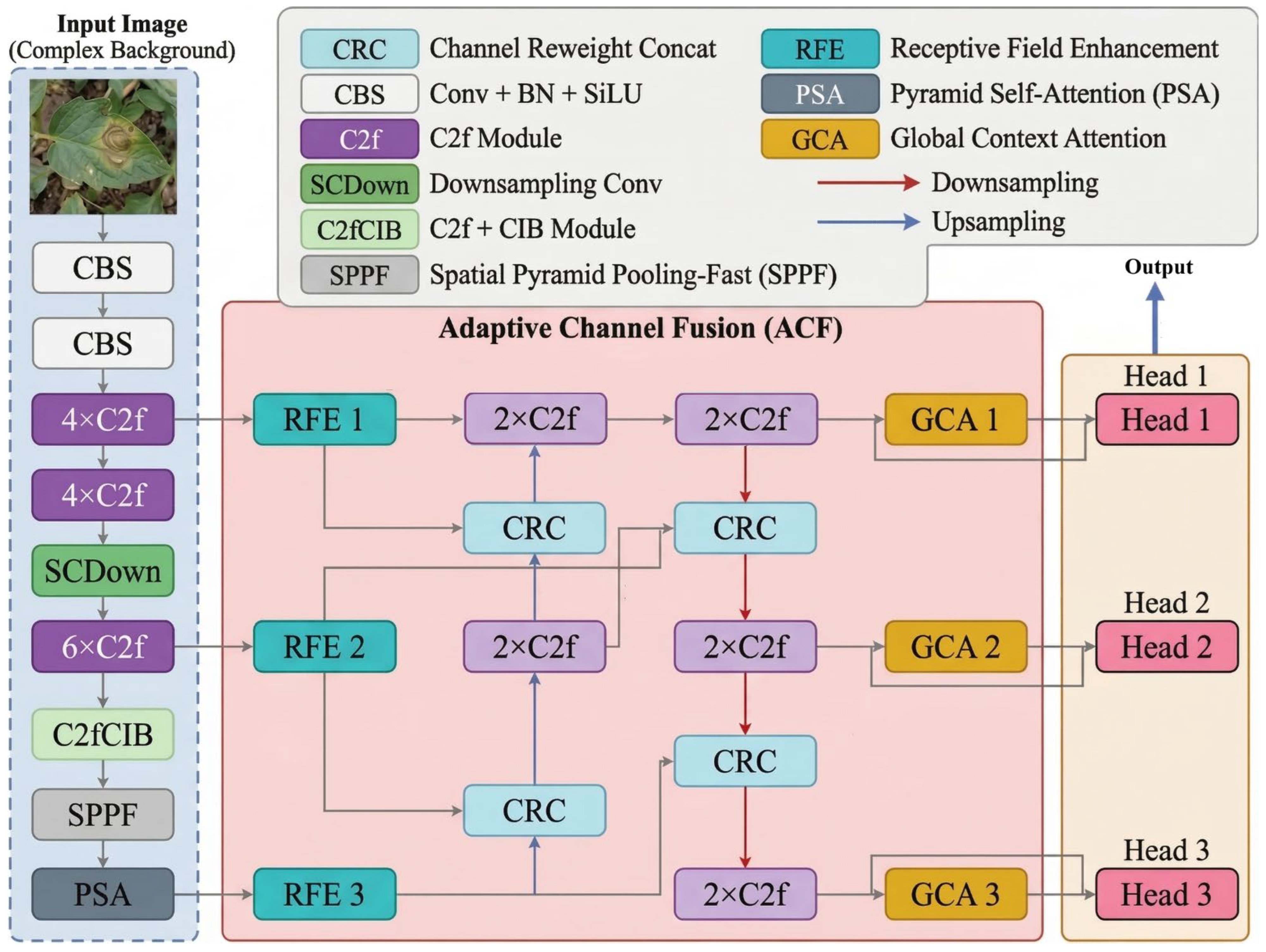 A Feature-Enhanced Network for Vegetable Disease Detection in Complex ...