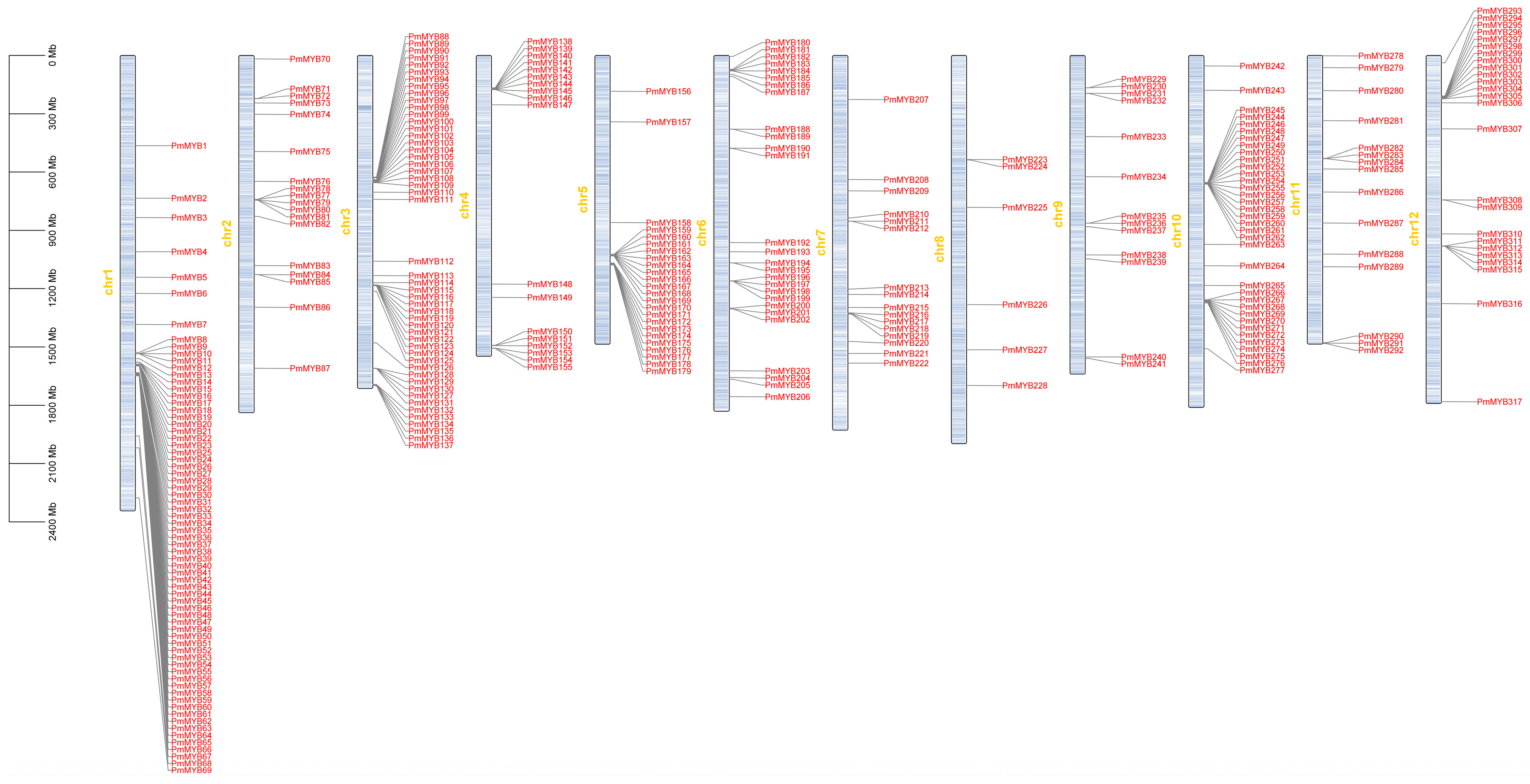Genome-Wide Identification of the R2R3-MYB Gene Family Members in ...
