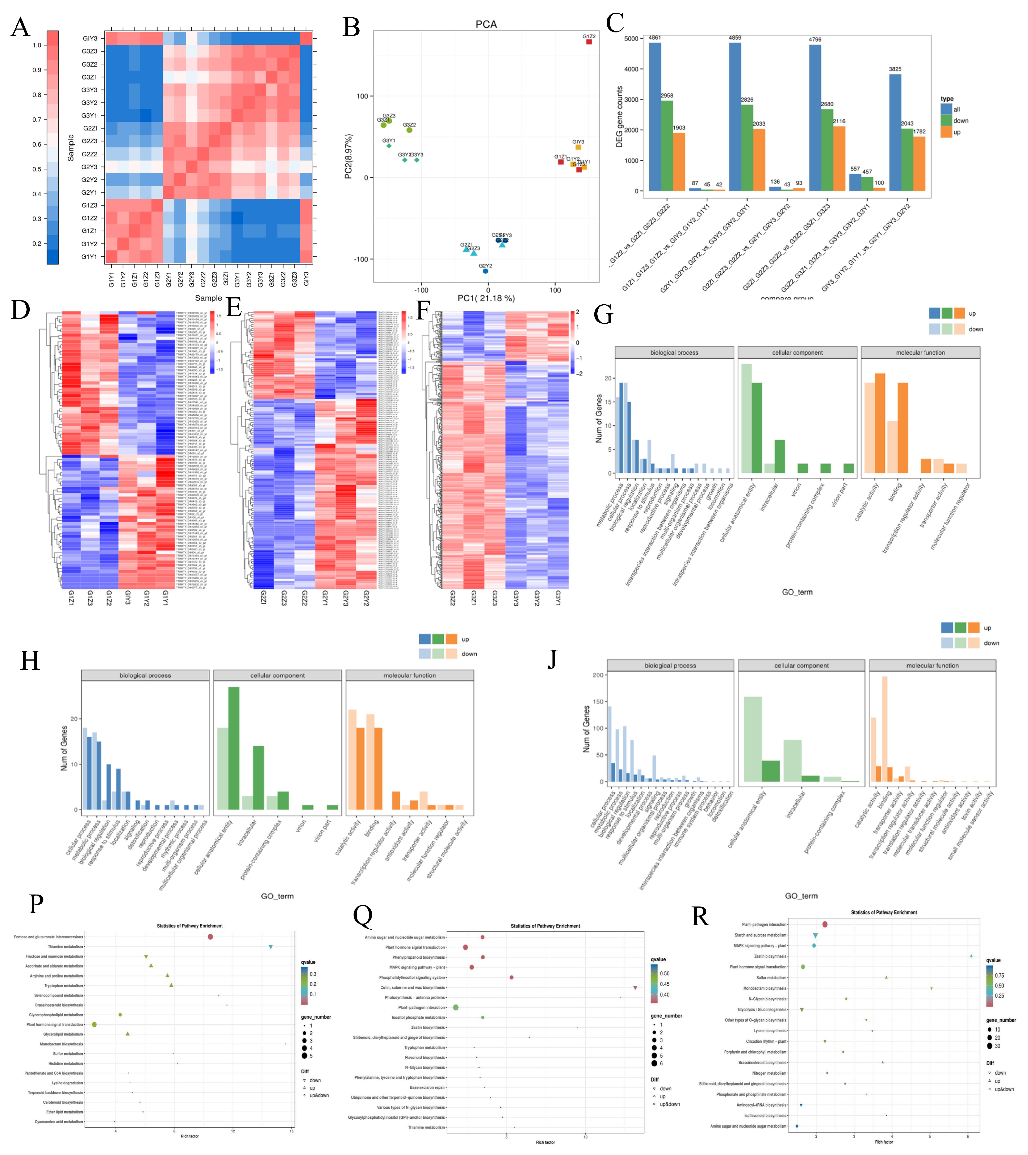 Combined Transcriptome and Metabolome Analysis of the Quality Change ...