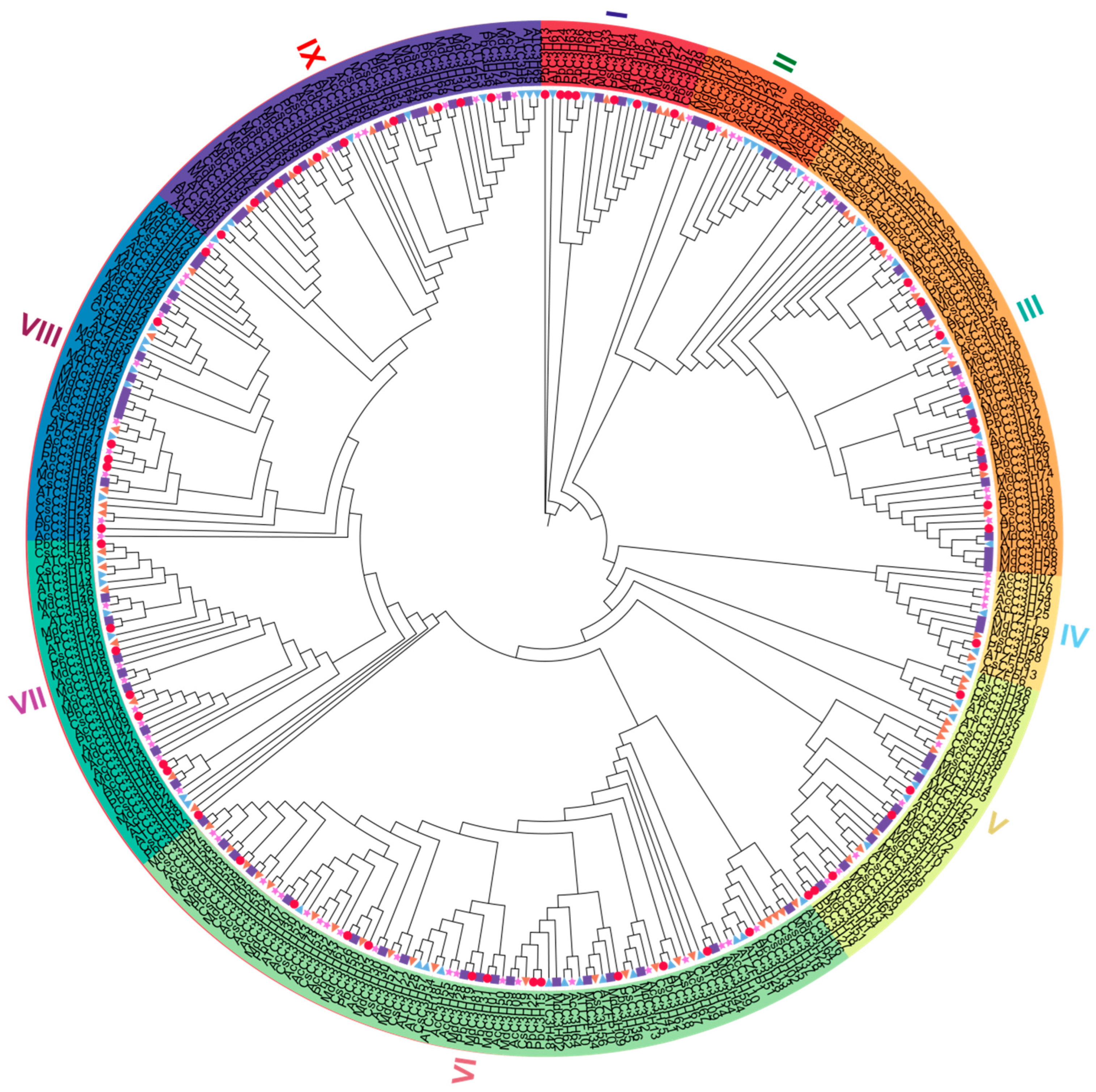 Genome-Wide Identification of the CCCH Gene Family and Functional ...