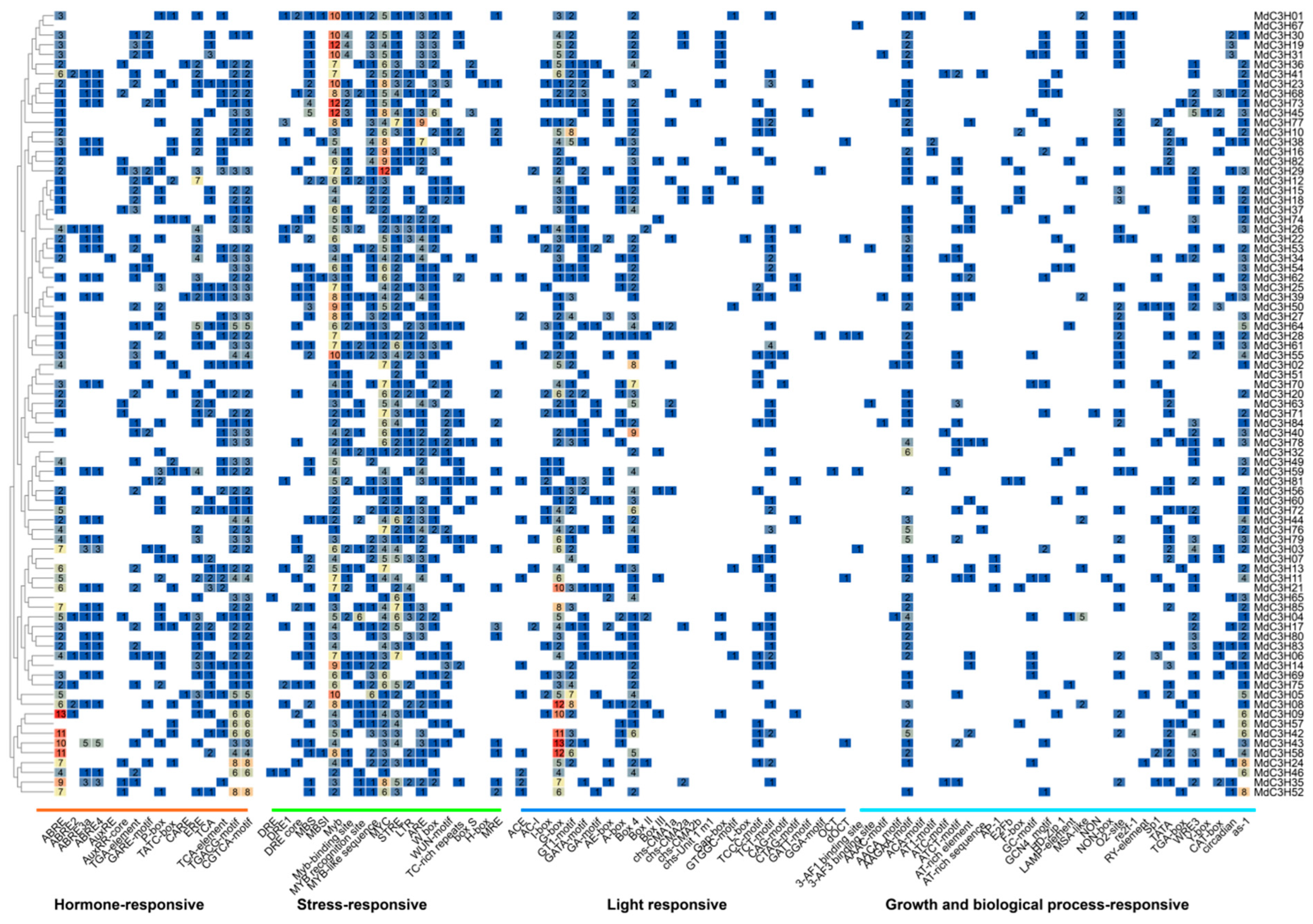 Genome-Wide Identification of the CCCH Gene Family and Functional ...