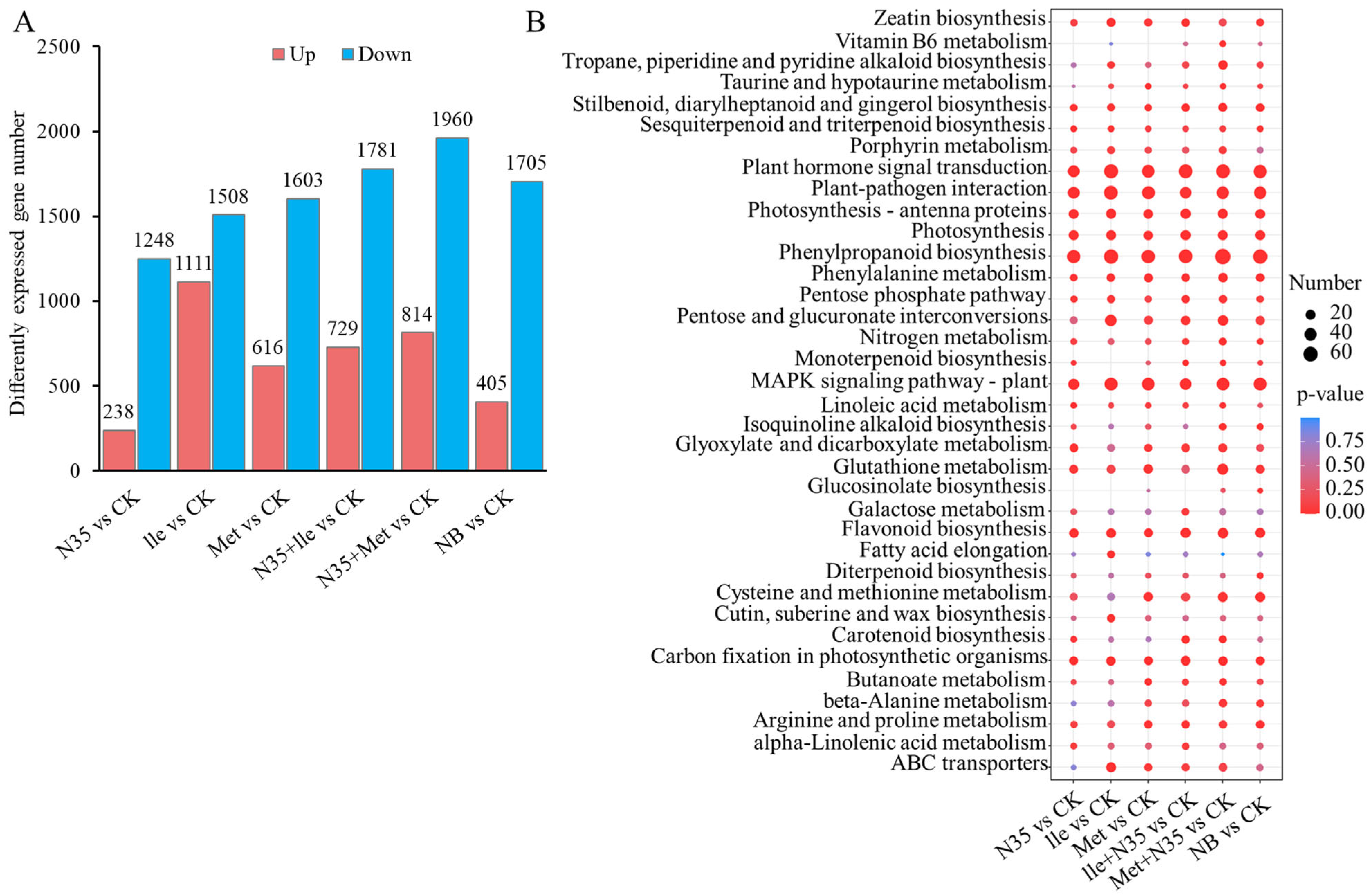 Synergistic Effects of Amino Acids and Bacillus velezensis N35 on ...