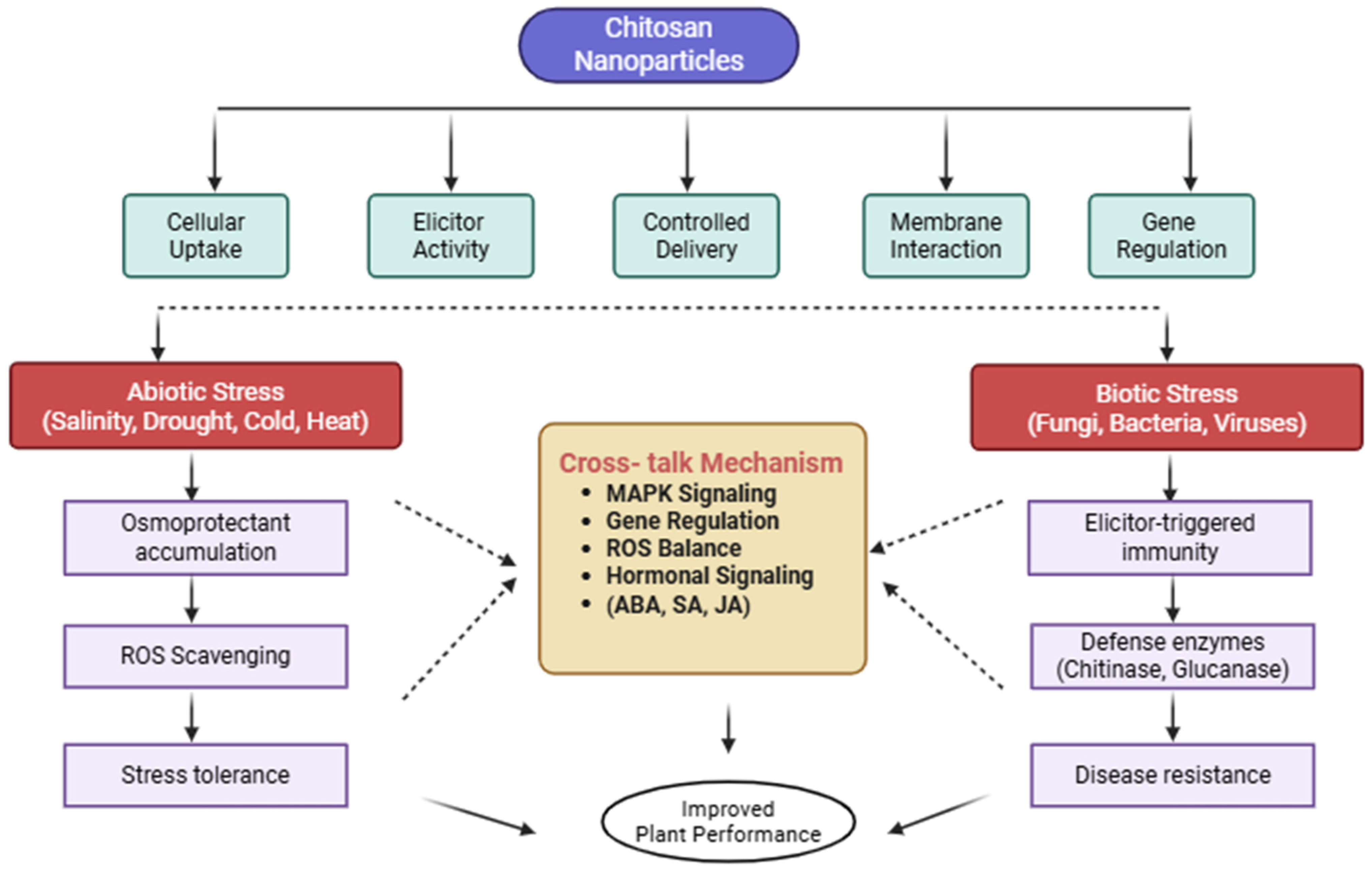 Nanoparticle-Induced Cross-Tolerance: A Review of Mechanisms for ...