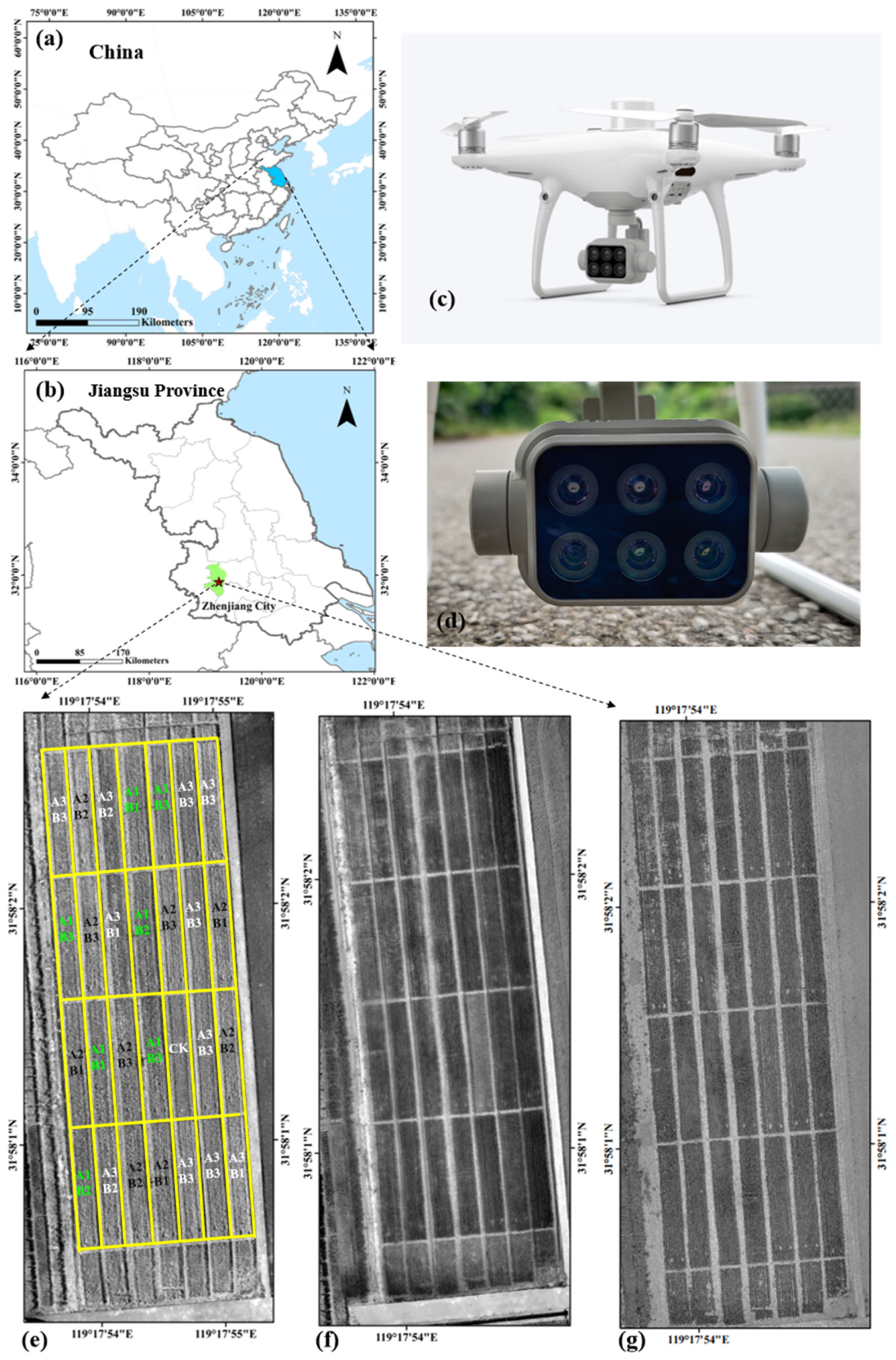 Integrating Multi-Source and Multi-Temporal UAV Observations to Improve ...