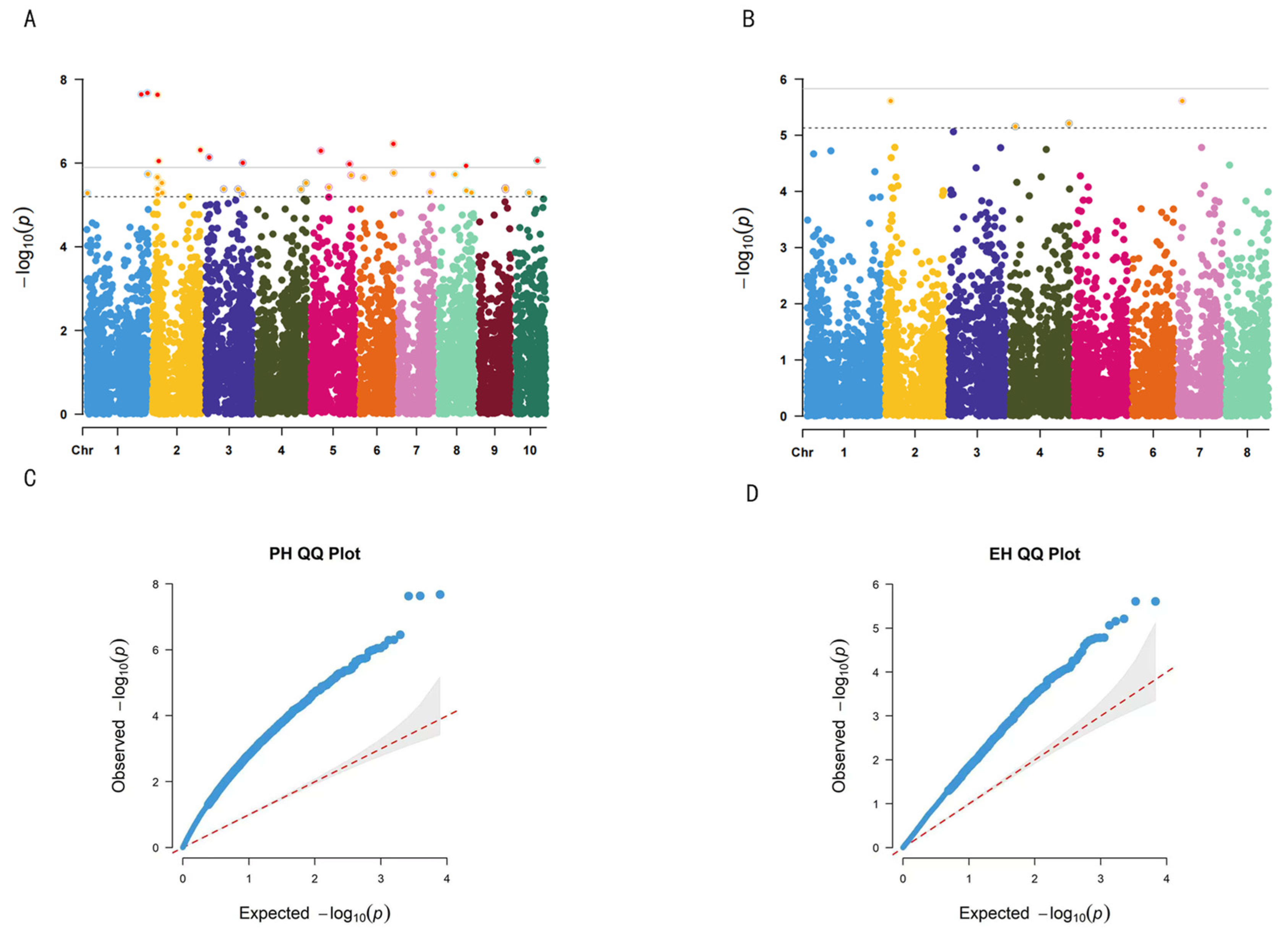Genome-Wide Association Study of Plant and Ear Height in Maize (Zea ...