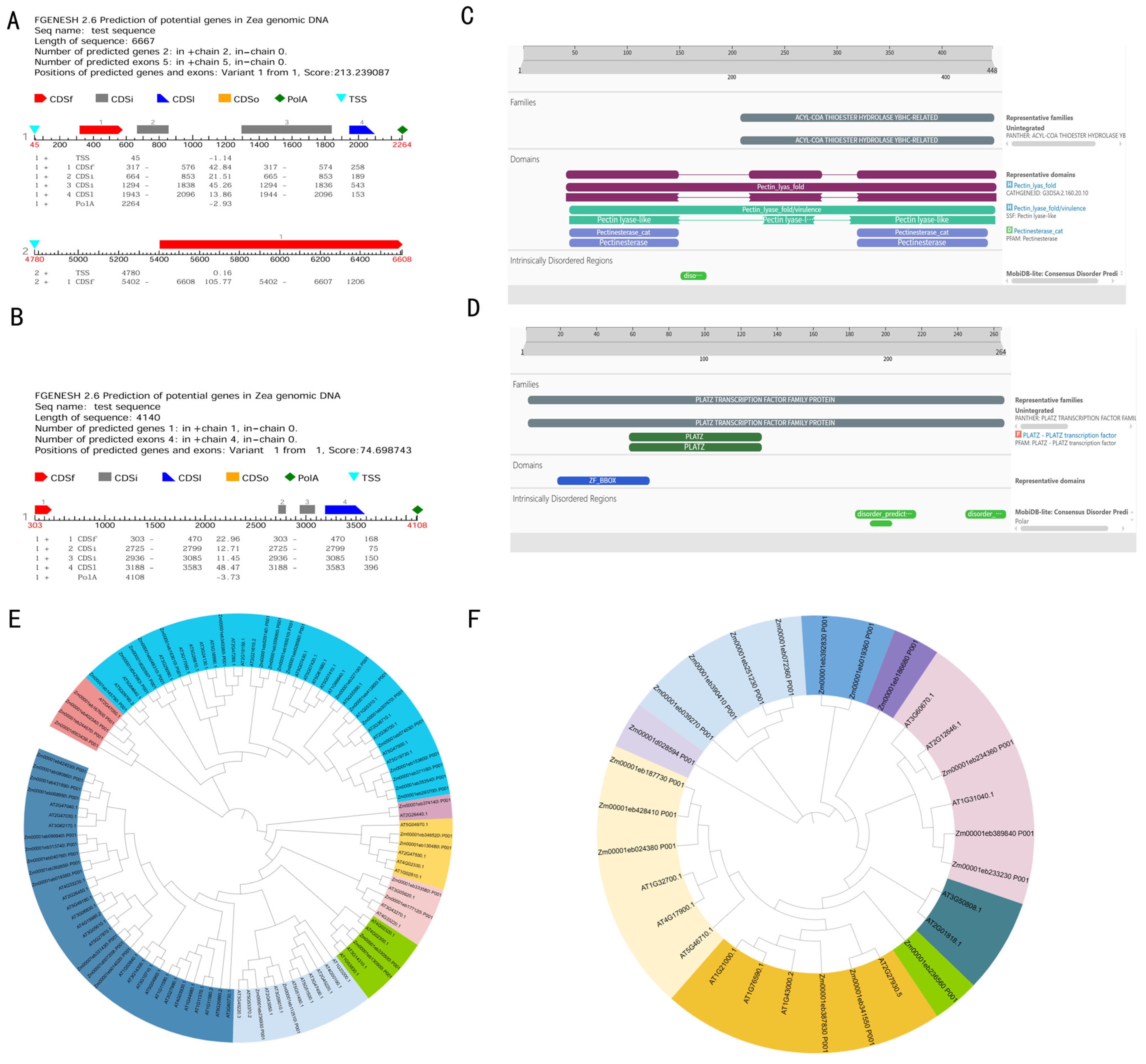 Genome-Wide Association Study of Plant and Ear Height in Maize (Zea ...