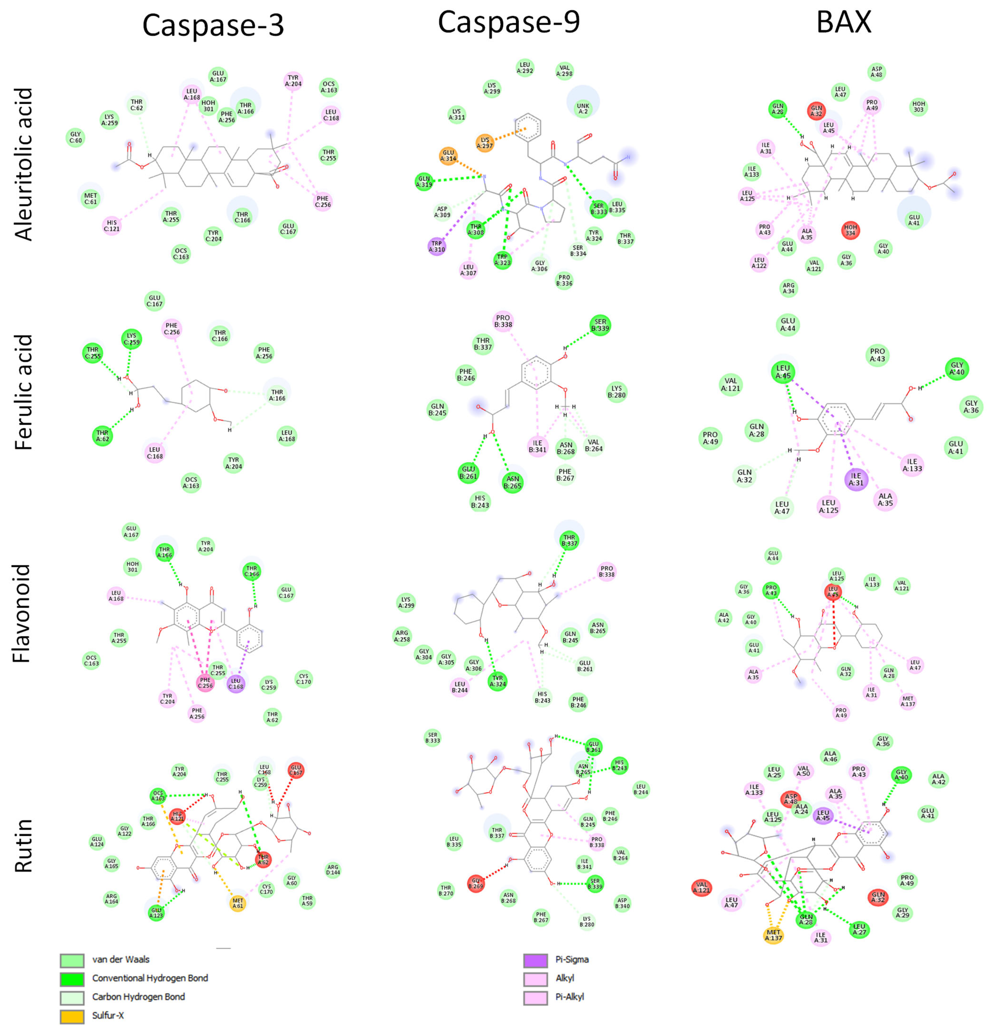 Molecular Docking of Phytochemicals Involved in Apoptotic Pathway and ...