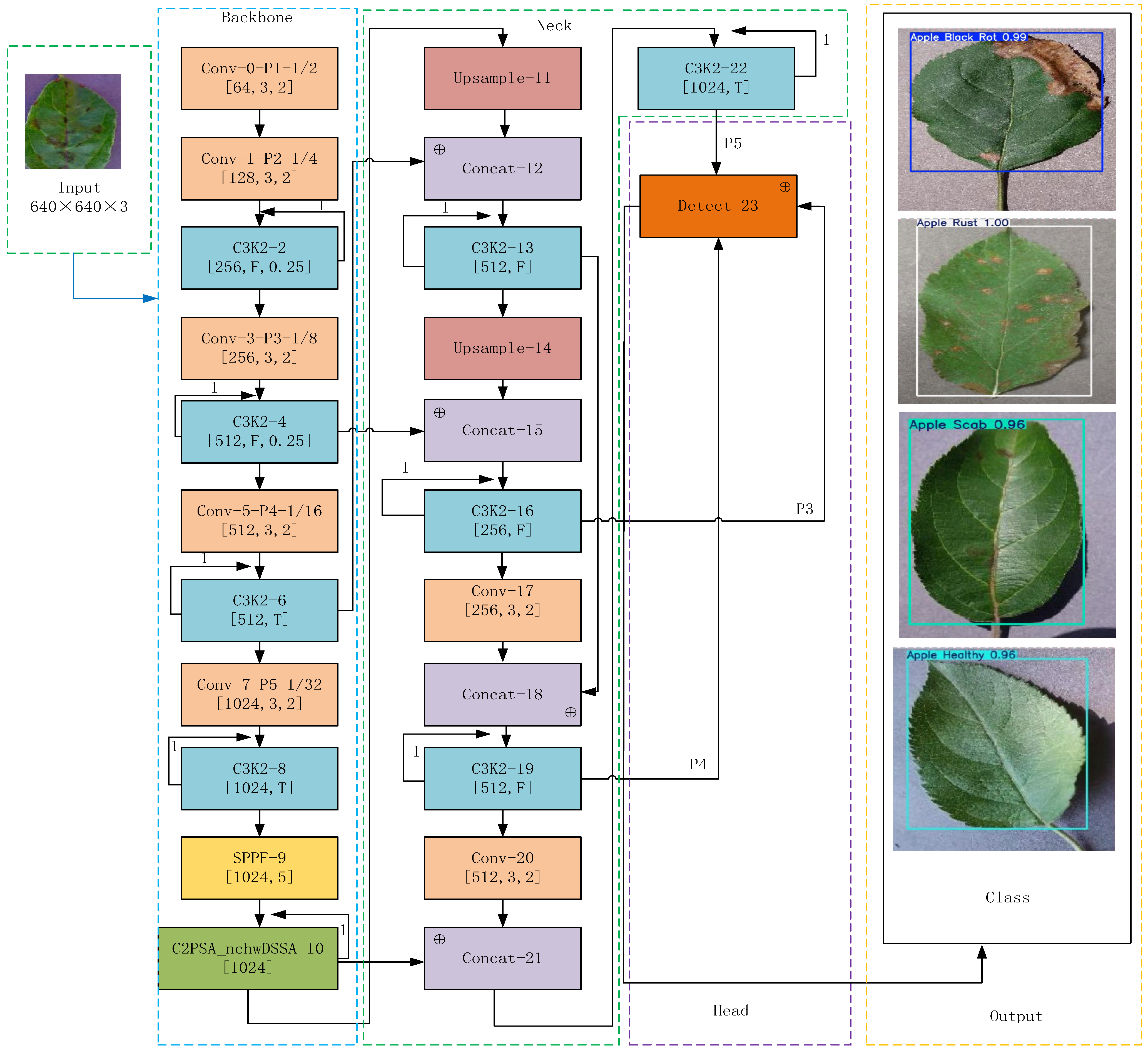 Apple Leaf Disease Detection Based on Improved YOLOv11 with DSSA Mechanism