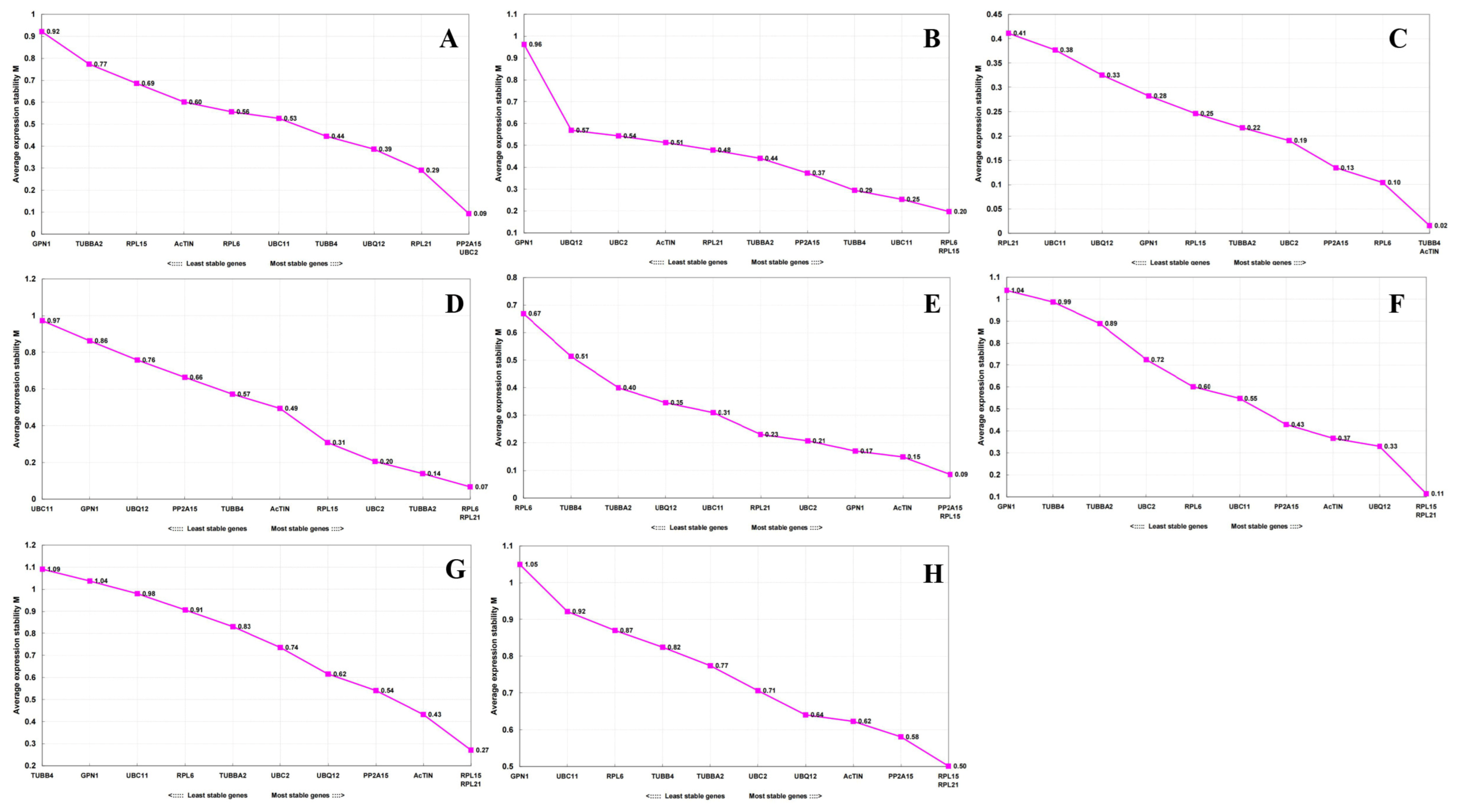 Identification and Validation of Reference Genes for Reliable RT-qPCR ...