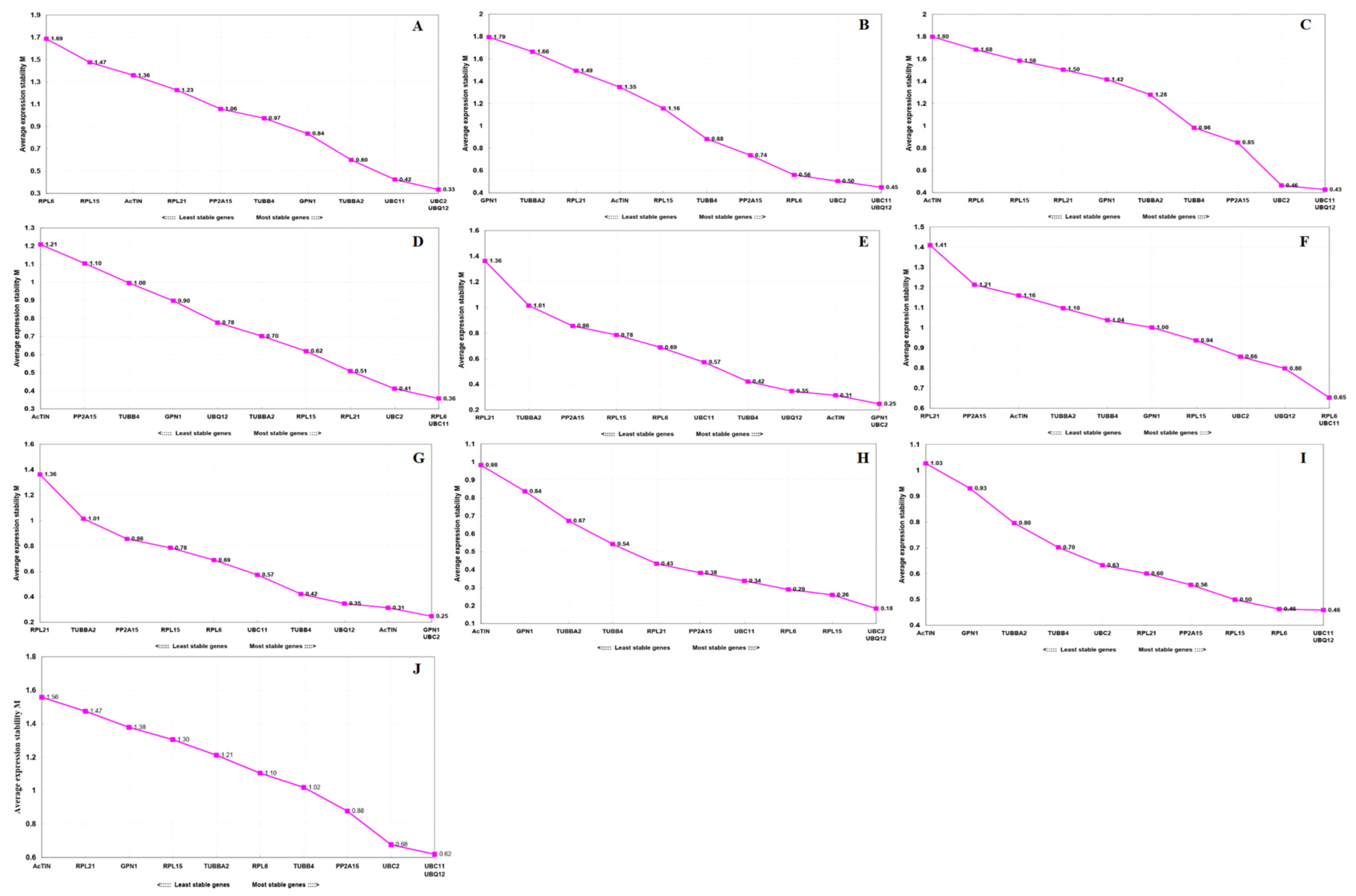 Identification and Validation of Reference Genes for Reliable RT-qPCR ...