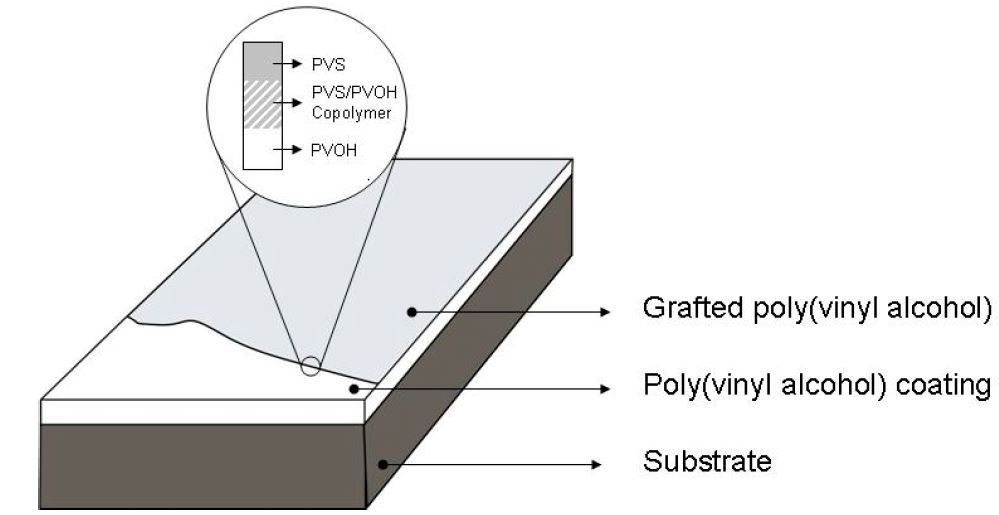 Water Repellence and Oxygen and Water Vapor Barrier of PVOH