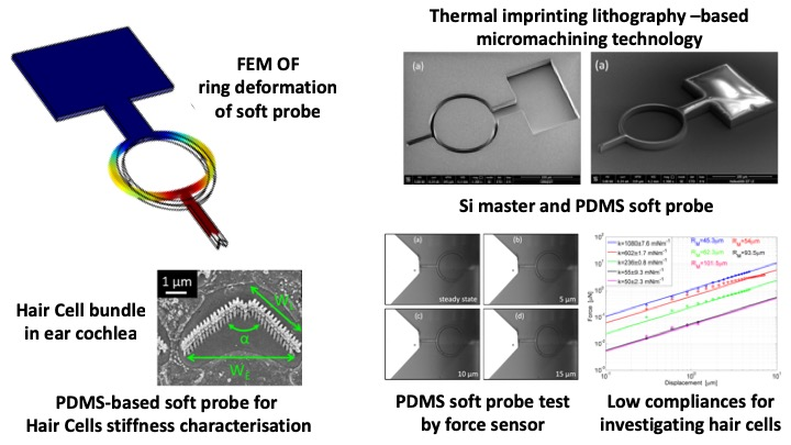 Polymers | Free Full-Text | Design and Fabrication by Thermal Imprint  Lithography and Mechanical Characterization of a Ring-Based PDMS Soft Probe  for Sensing and Actuating Forces in Biological Systems