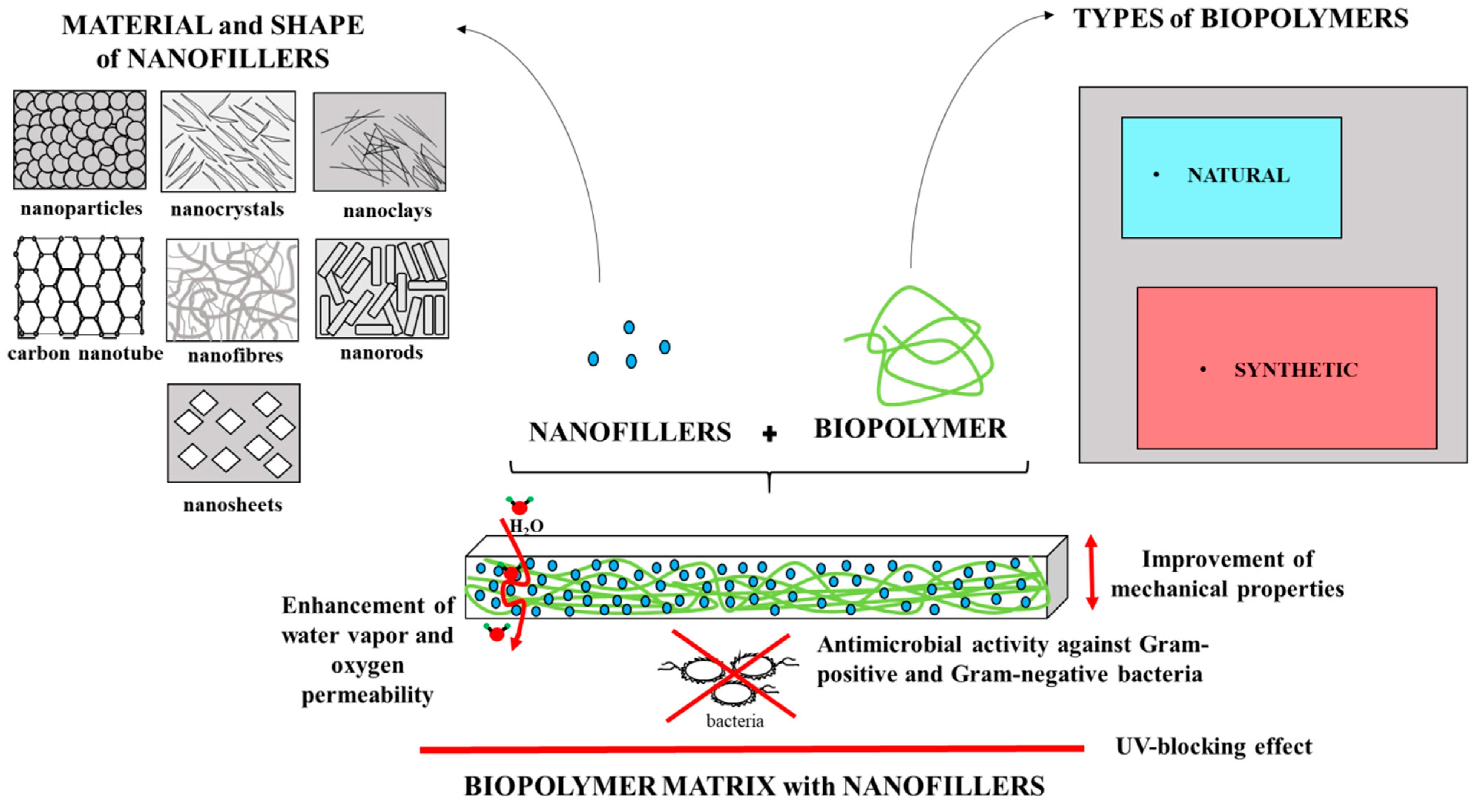 Mobility of Water and Polymer Species and Rheological Properties