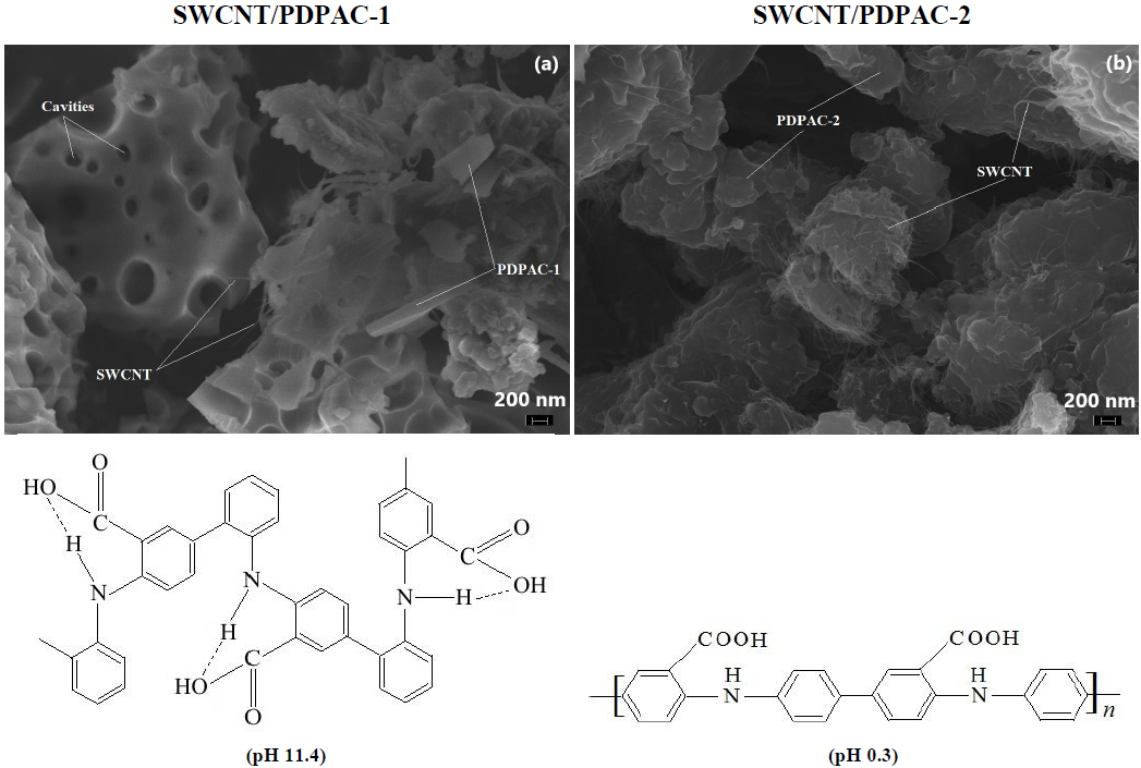 Sidewall Carboxylic Acid Functionalization of Single-Walled Carbon  Nanotubes