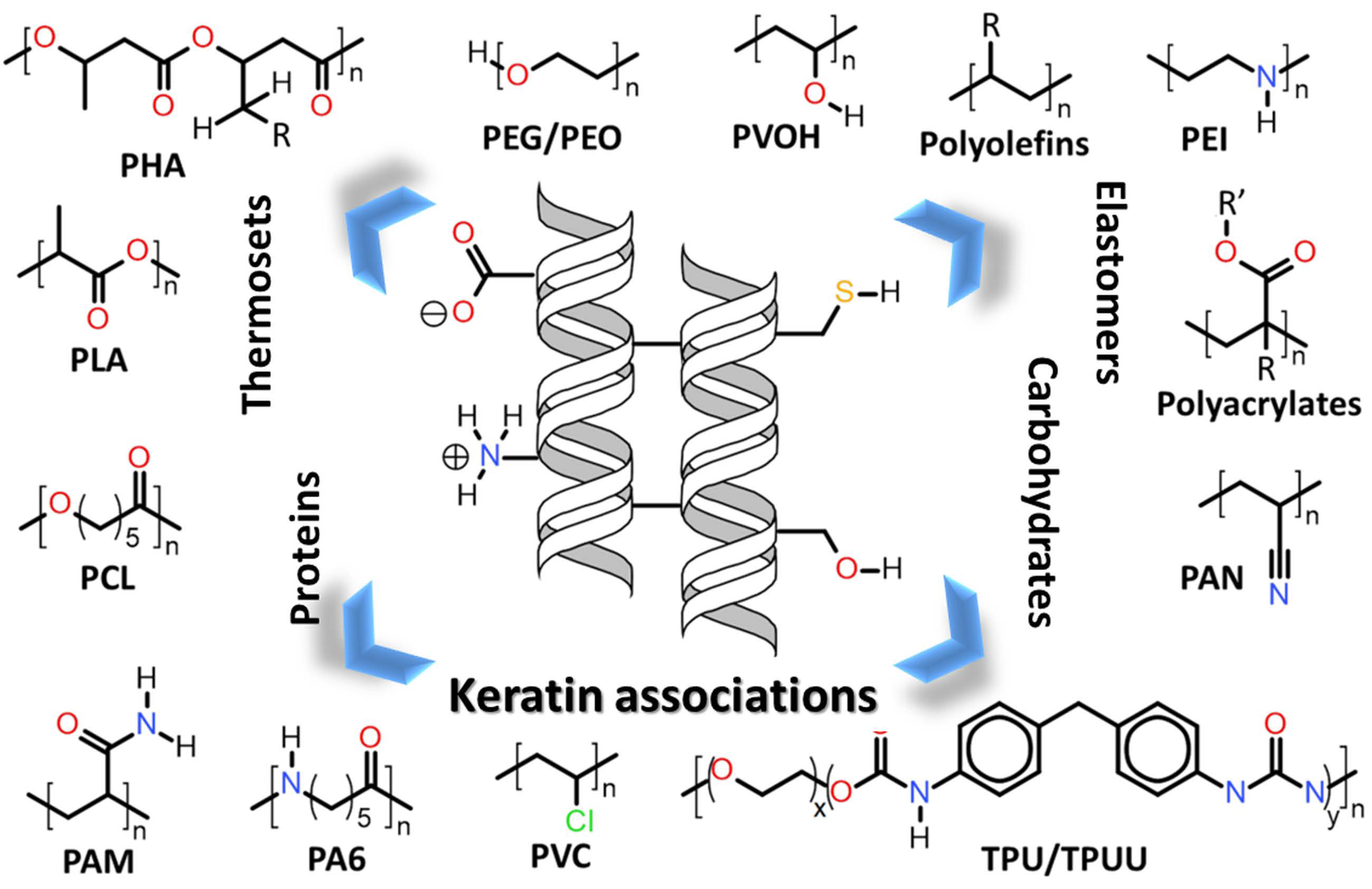 Polymers | Free Full-Text | Keratin Associations with Synthetic