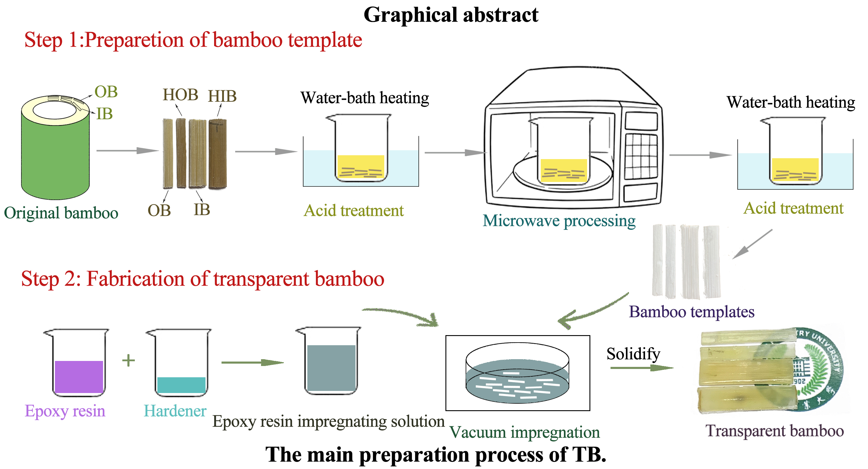 How to Create Optically Transparent Bamboo