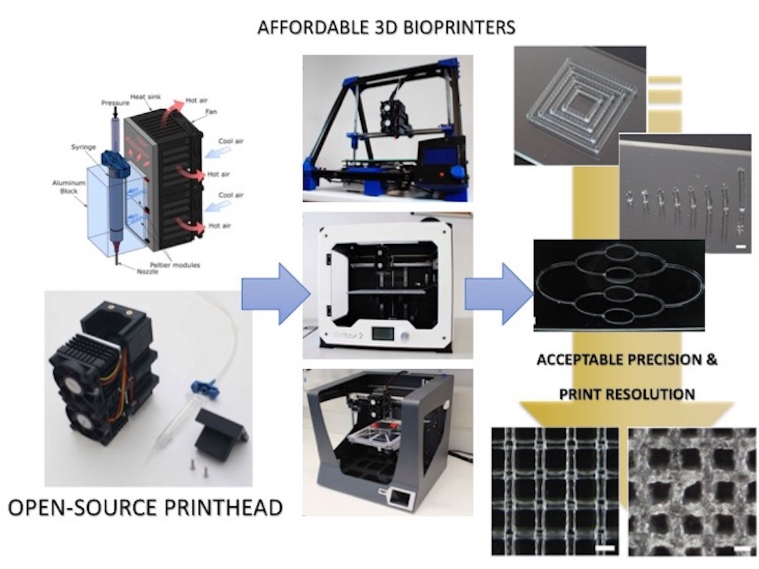 Droop tragedie retning Polymers | Free Full-Text | A Versatile Open-Source Printhead for Low-Cost  3D Microextrusion-Based Bioprinting