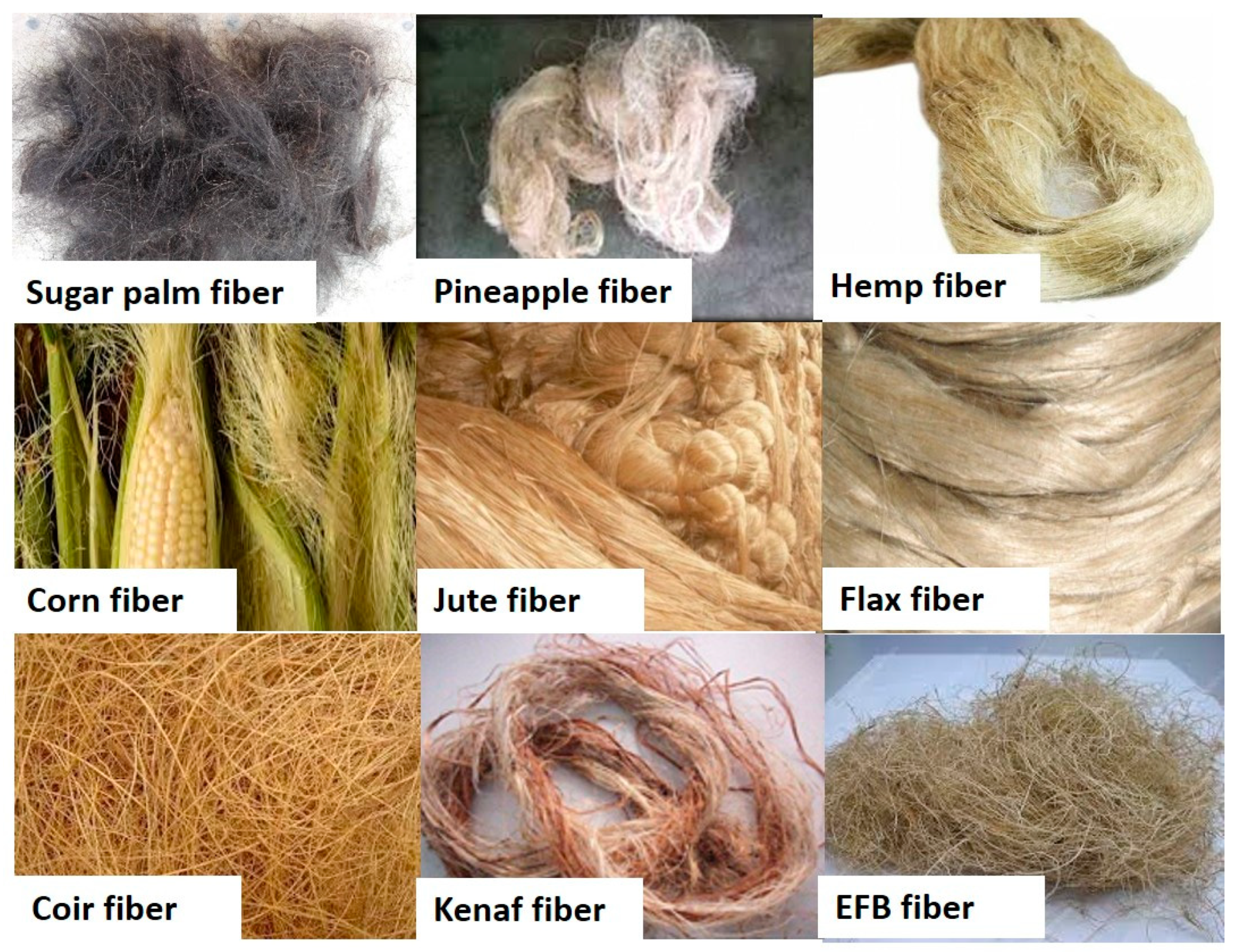 Cellulose-Kevlar-Silk-Fibers-Boost