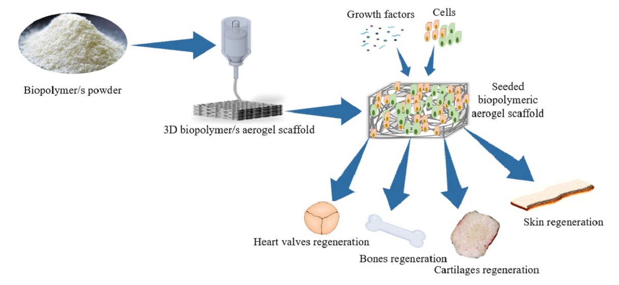 Graphene-Based Material-Mediated Immunomodulation in Tissue Engineering and  Regeneration: Mechanism and Significance