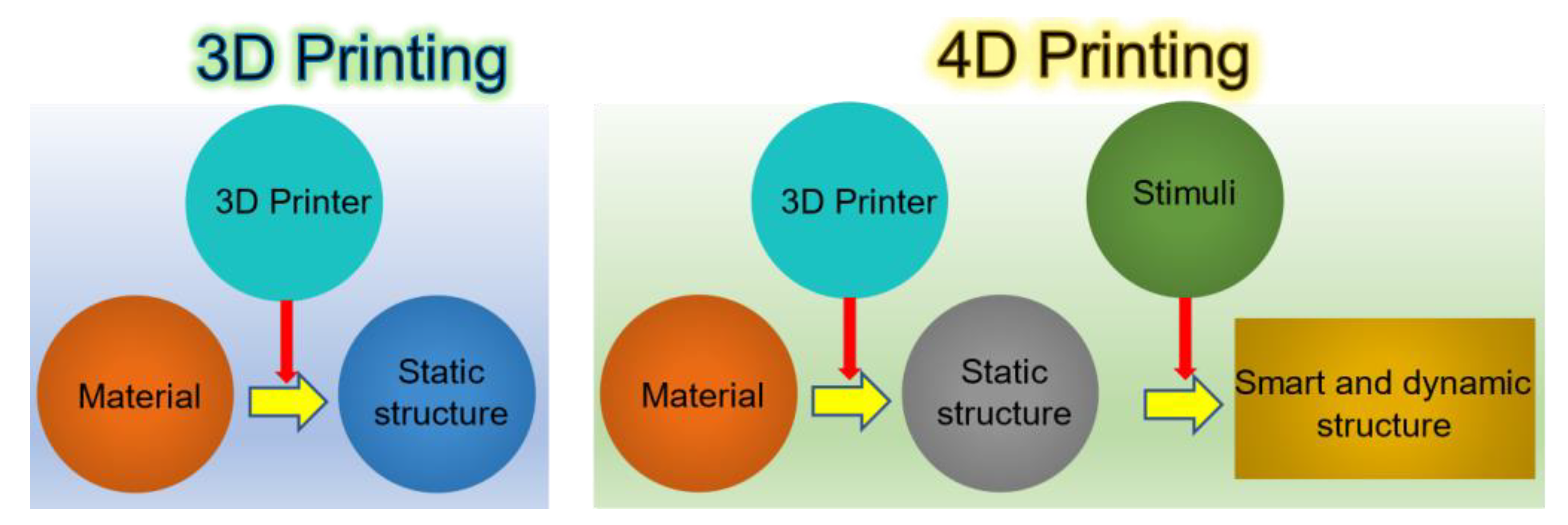 Polymers | Free Full-Text | 3D/4D Printing of Polymers: Fused 