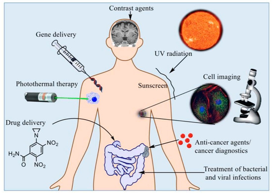 Emerging Application of Magnetic Nanoparticles for Diagnosis and ...