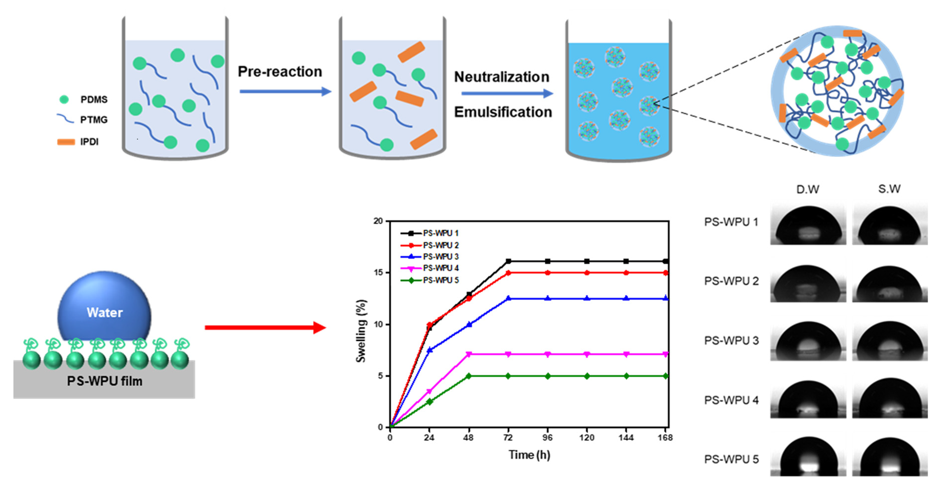 Polymers | Free Full-Text | Preparation Of Polydimethylsiloxane ...