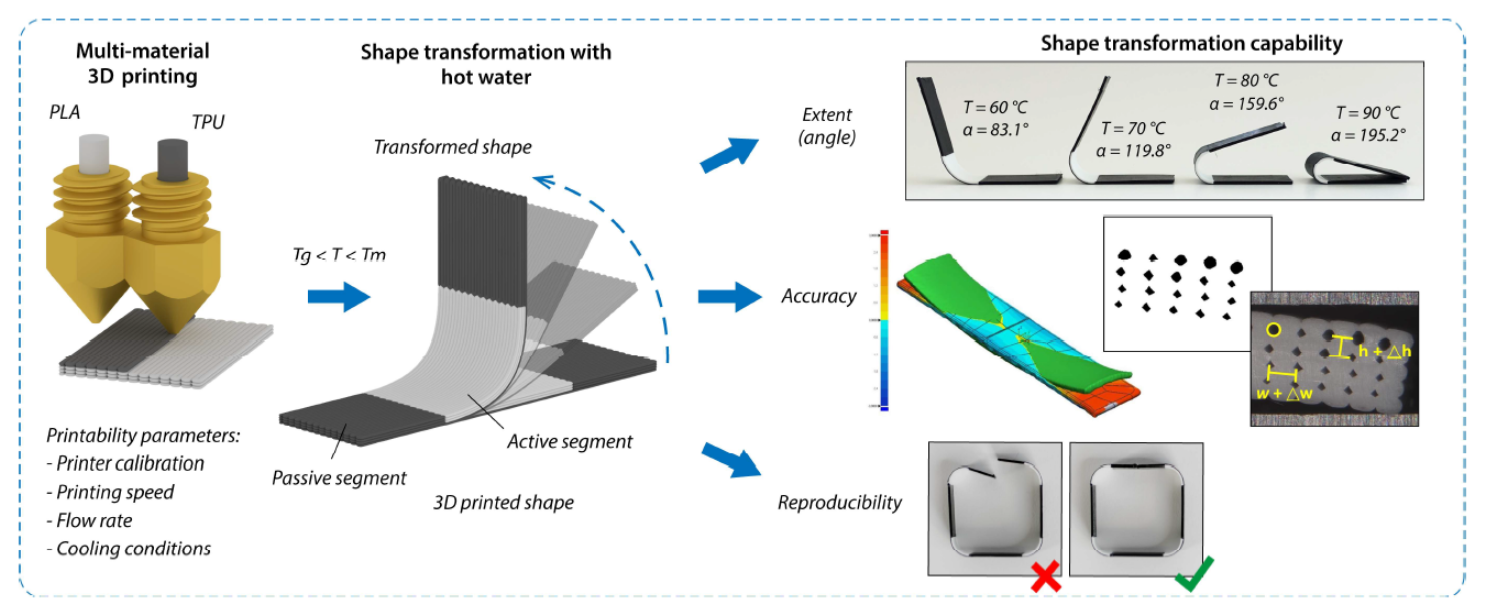 Polymers | Free Full-Text | Effect of Printing Process Parameters on the Shape Transformation Capability of 3D Structures