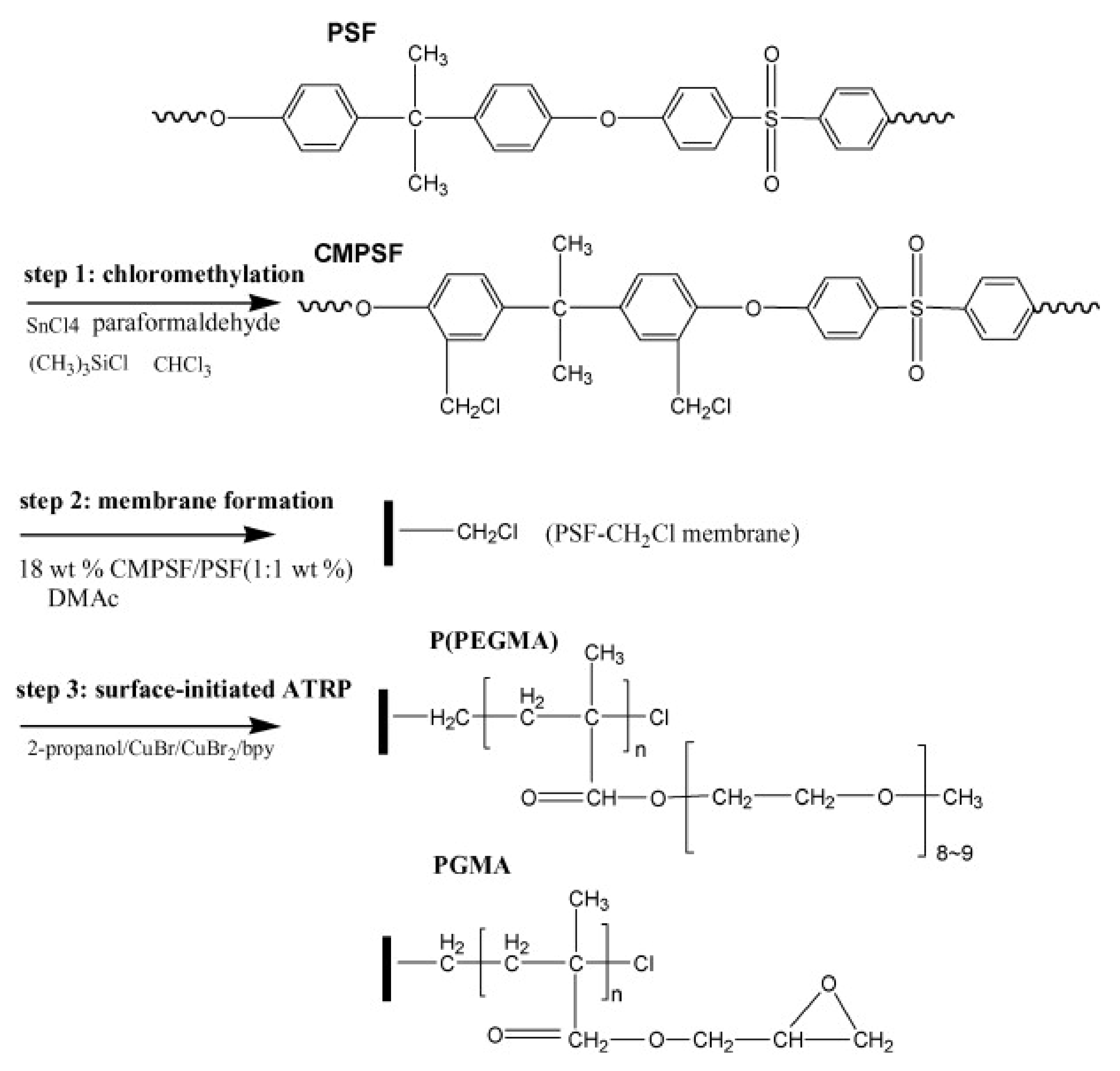 Polymers | Free Full-Text | Functionalized Hemodialysis Polysulfone ...