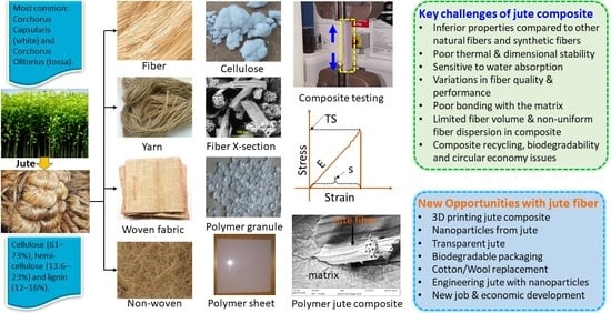 Features, Properties and Uses of Jute Fiber - Textile Learner