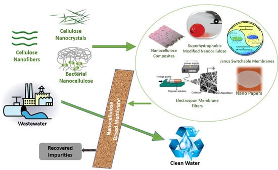 Polymeric antimicrobial membranes enabled by nanomaterials for water  treatment - ScienceDirect
