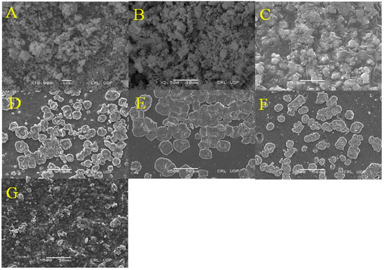 Polymers | Special Issue : Polymer Materials In Biomedical Application II