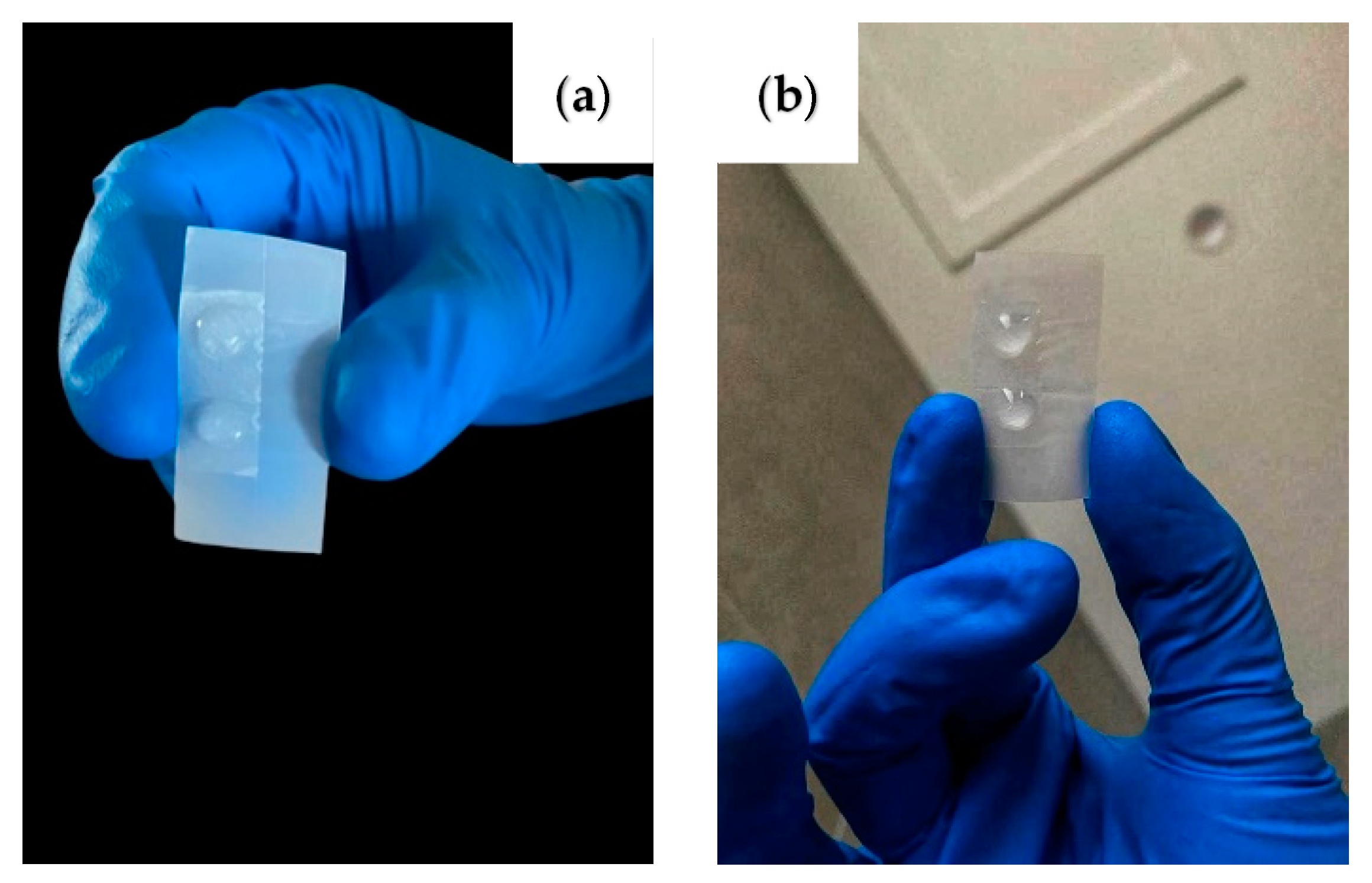 Materials Science Advance Brings A Rose Petal's Natural Texture To