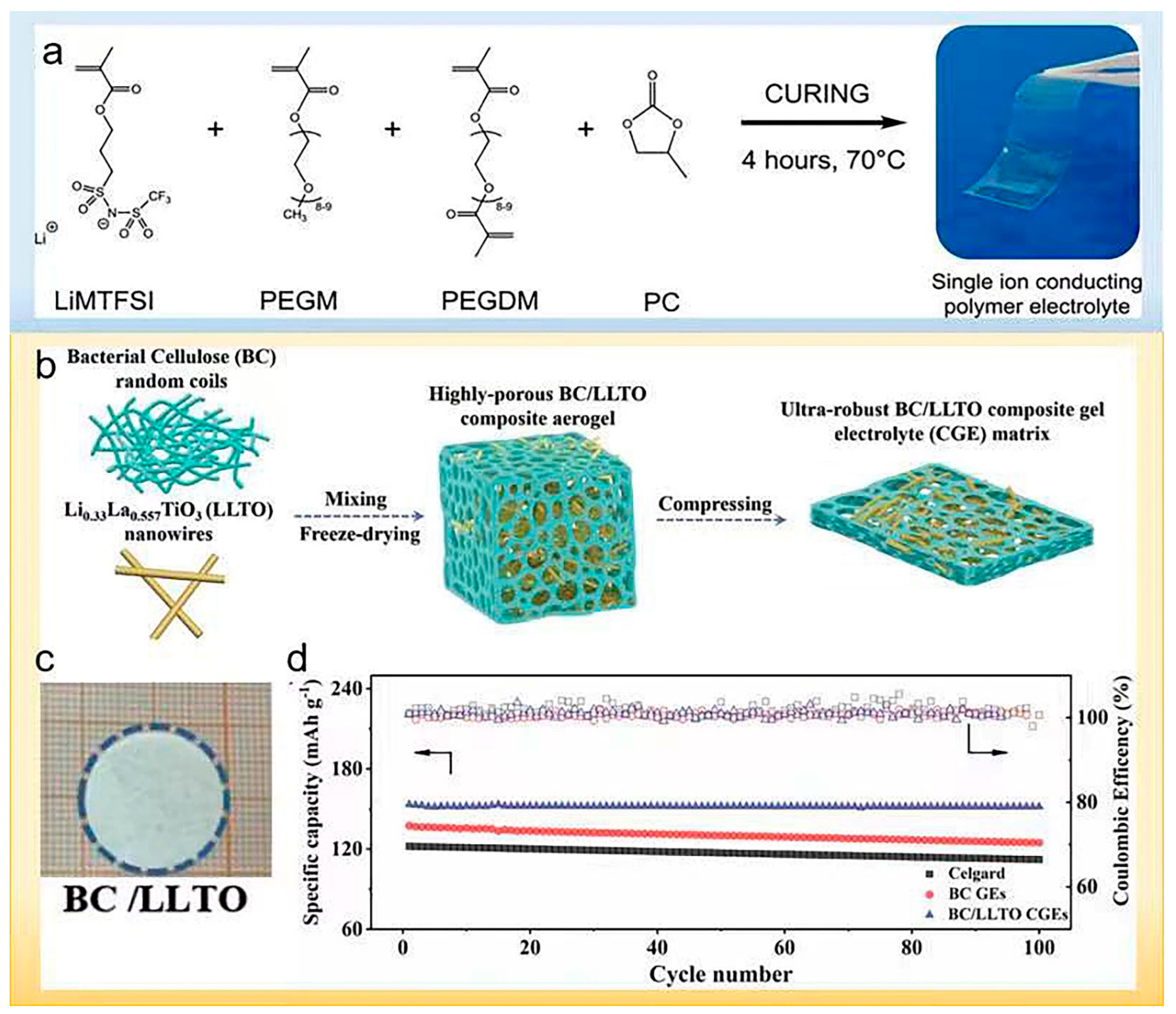 Polymers | Free Full-Text | Functional Polymer Materials for 