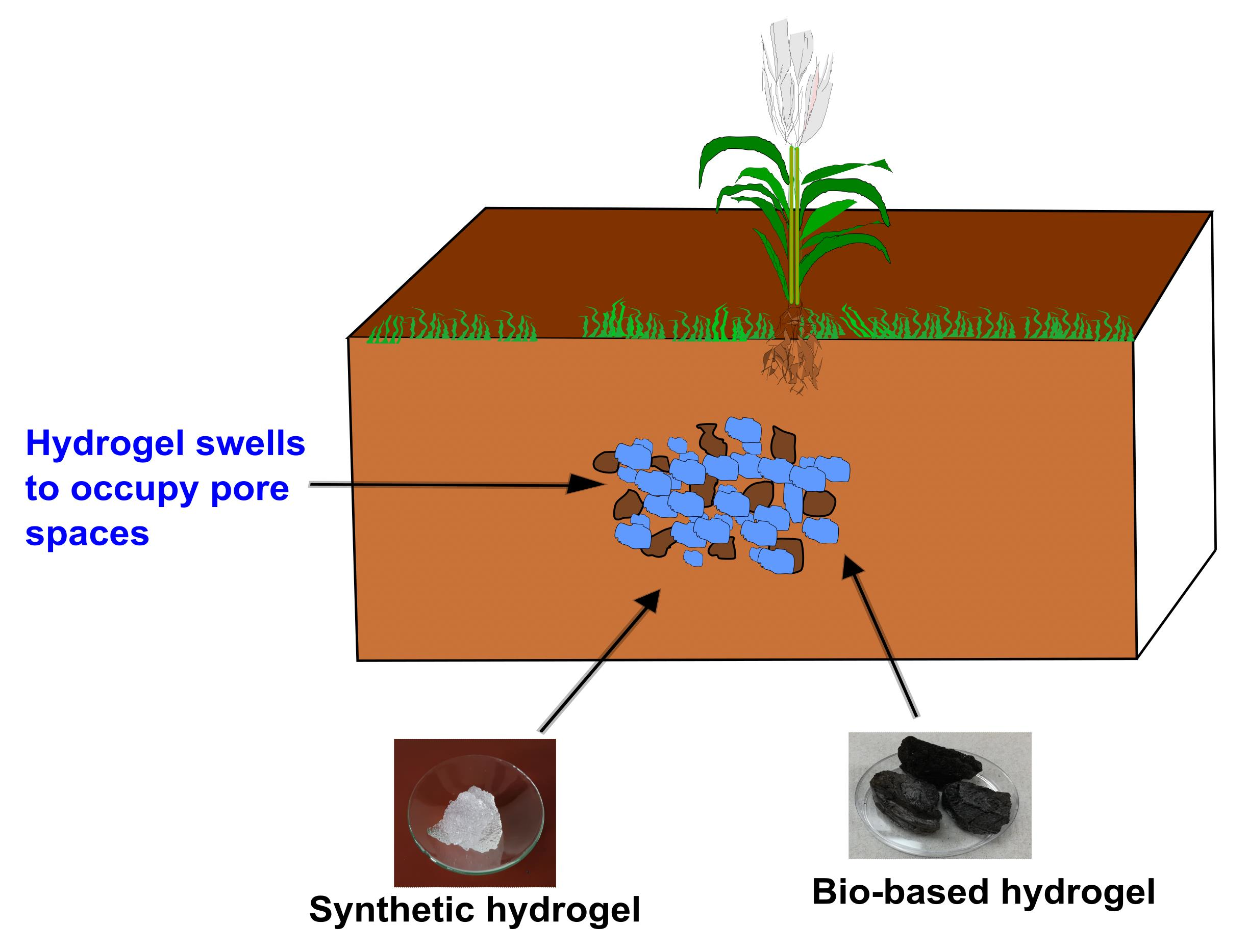 Image of Hydrogel moisture retaining soil additive