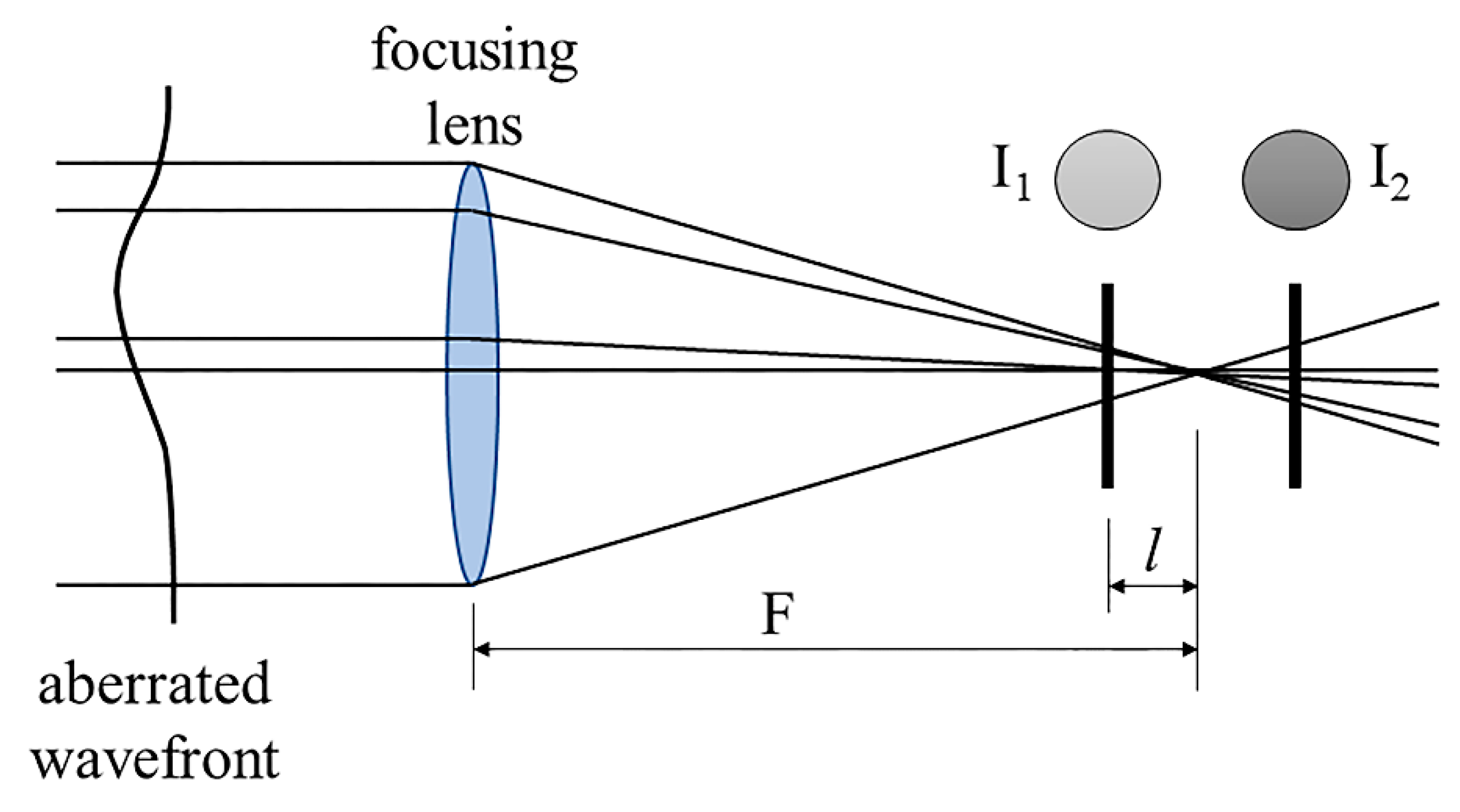 Magnifying Power: 5 Common Applications of Lenses - Blog - CBS Inc.