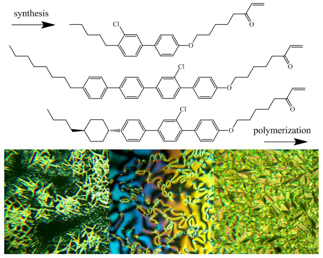 Hotel For nylig Klimatiske bjerge Polymers | Free Full-Text | Novel Mesogenic Vinyl Ketone Monomers and Their  Based Polymers