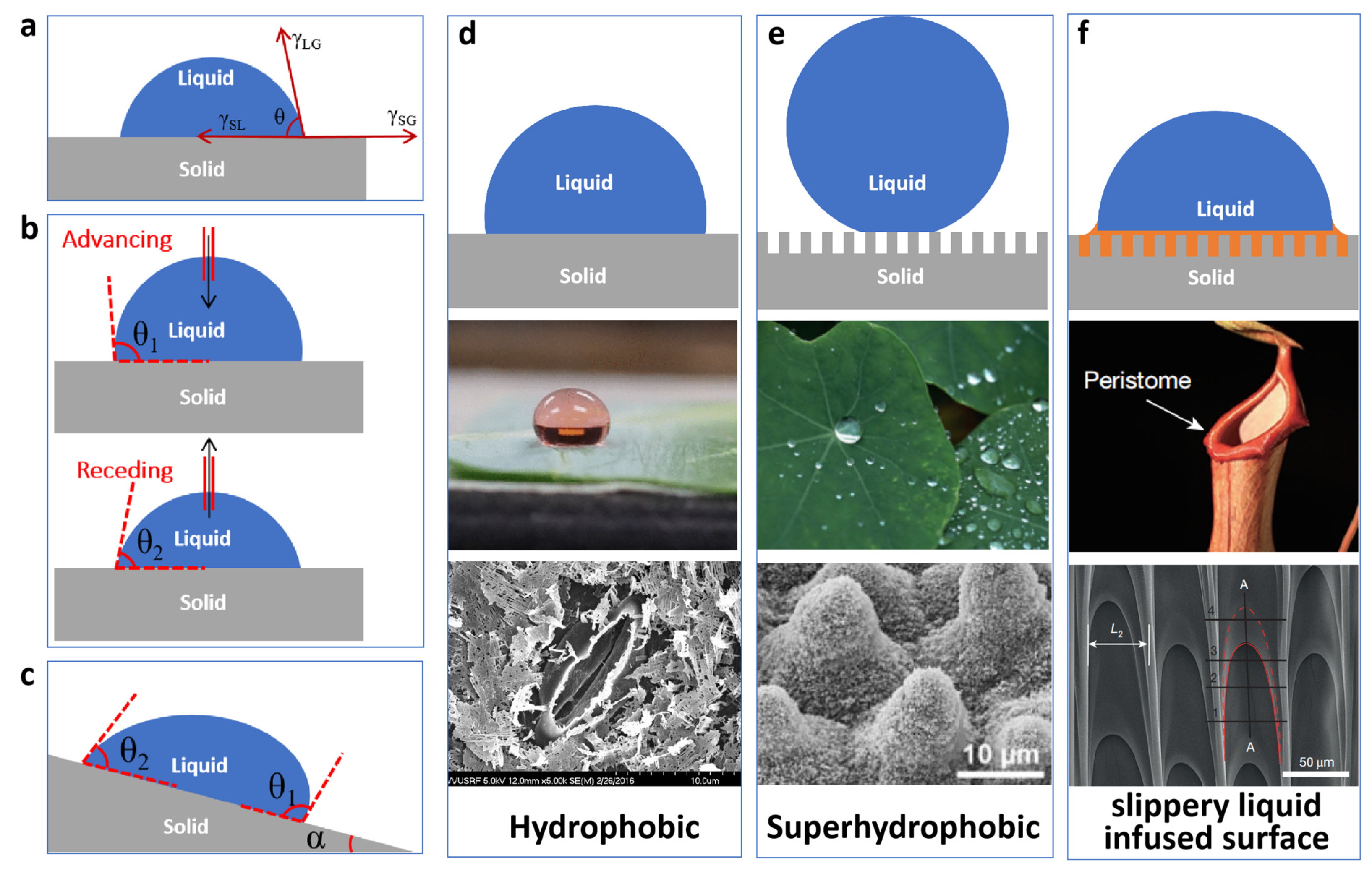 Hexadecyltrimethoxysilane-Modified SiO2 Nanoparticle-Coated Halloysite  Nanotubes Embedded in Silicone–Acrylic Polymer Films as Durable  Fluorine-Free Superhydrophobic Coatings