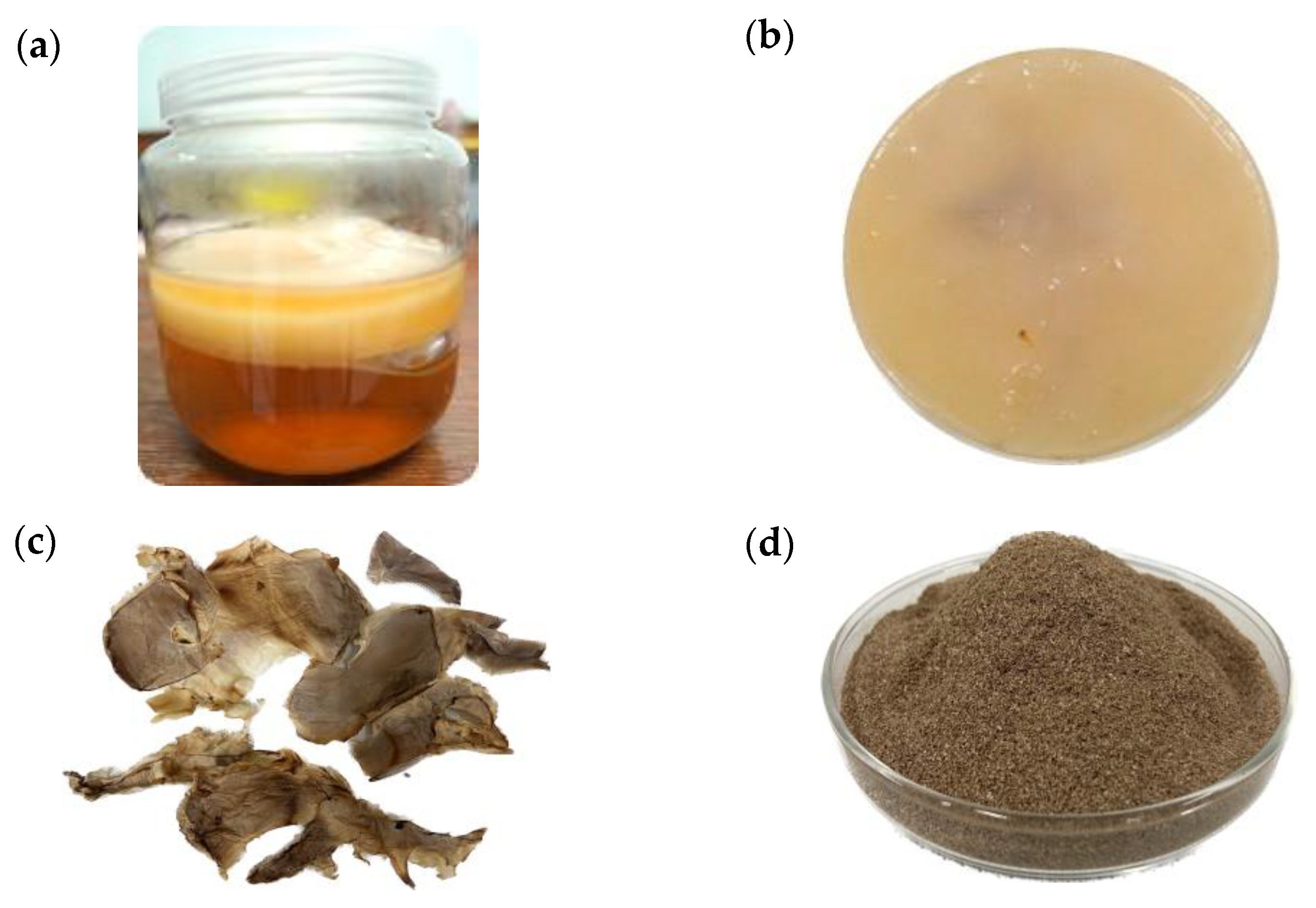 Polymers | Free Full-Text | Nanobacterial Cellulose From Kombucha  Fermentation As A Potential Protective Carrier Of Lactobacillus Plantarum  Under Simulated Gastrointestinal Tract Conditions